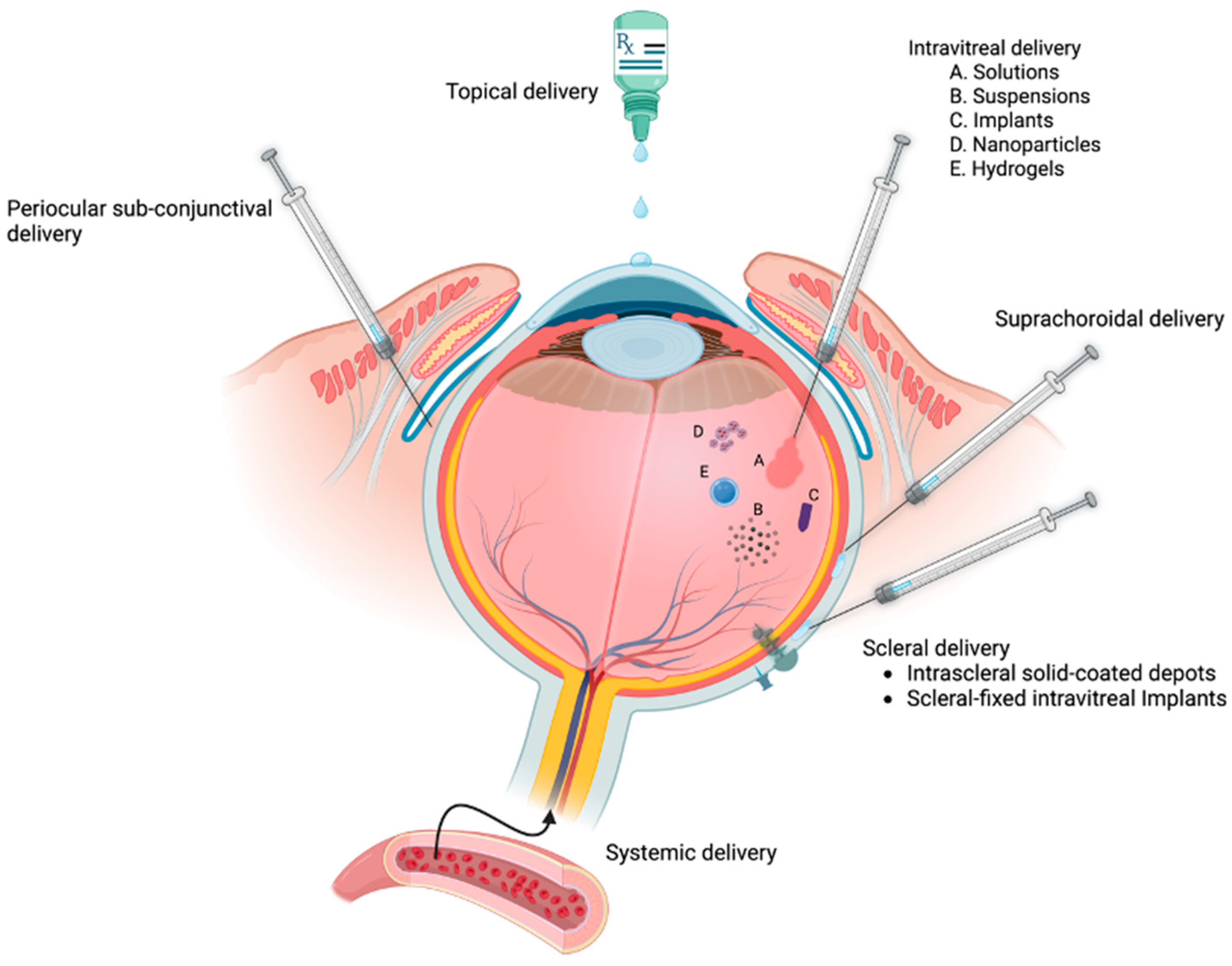 Cells 12 02452 g005 Cells 12 02452 g005