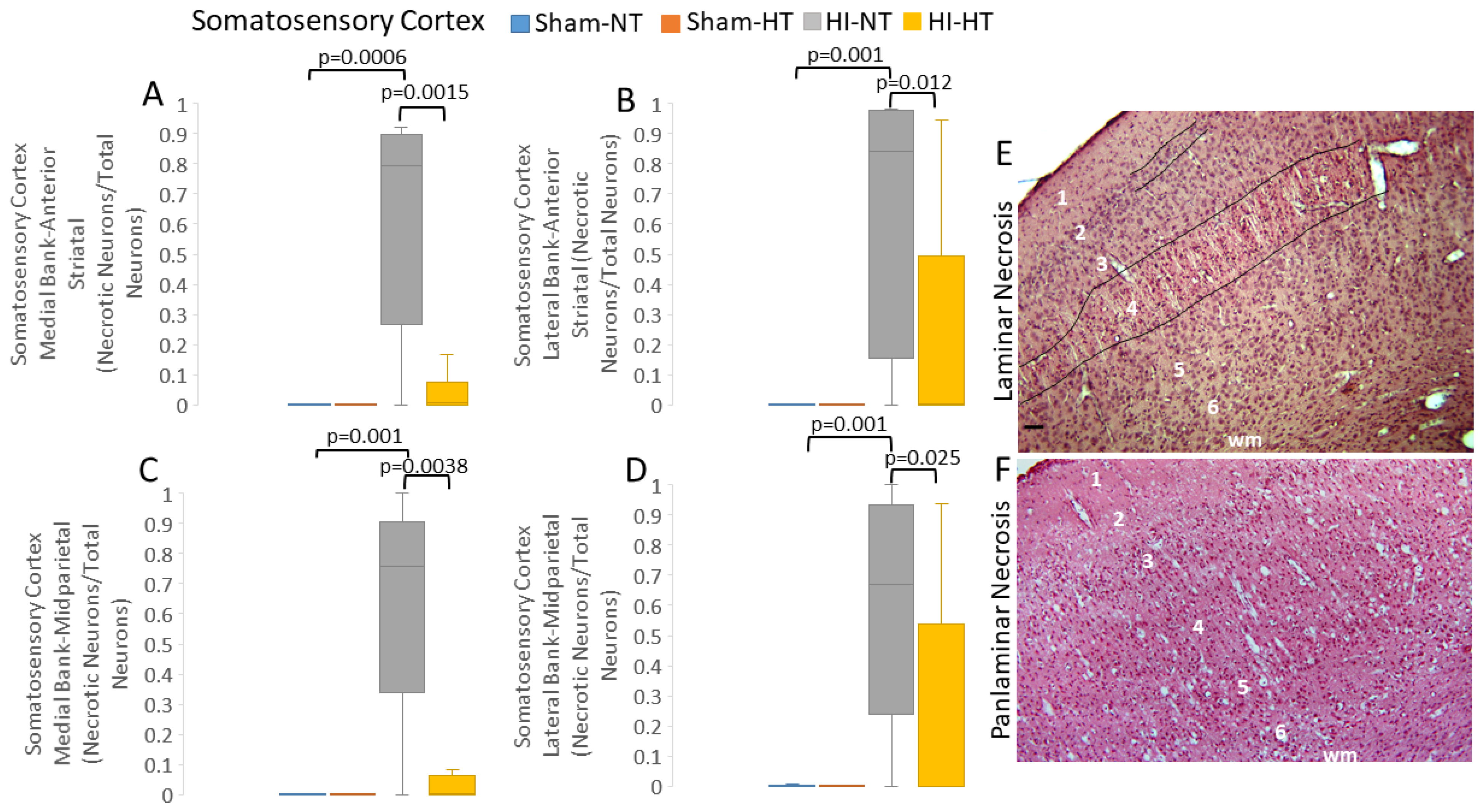 Cells 12 02454 g007 Cells 12 02454 g007