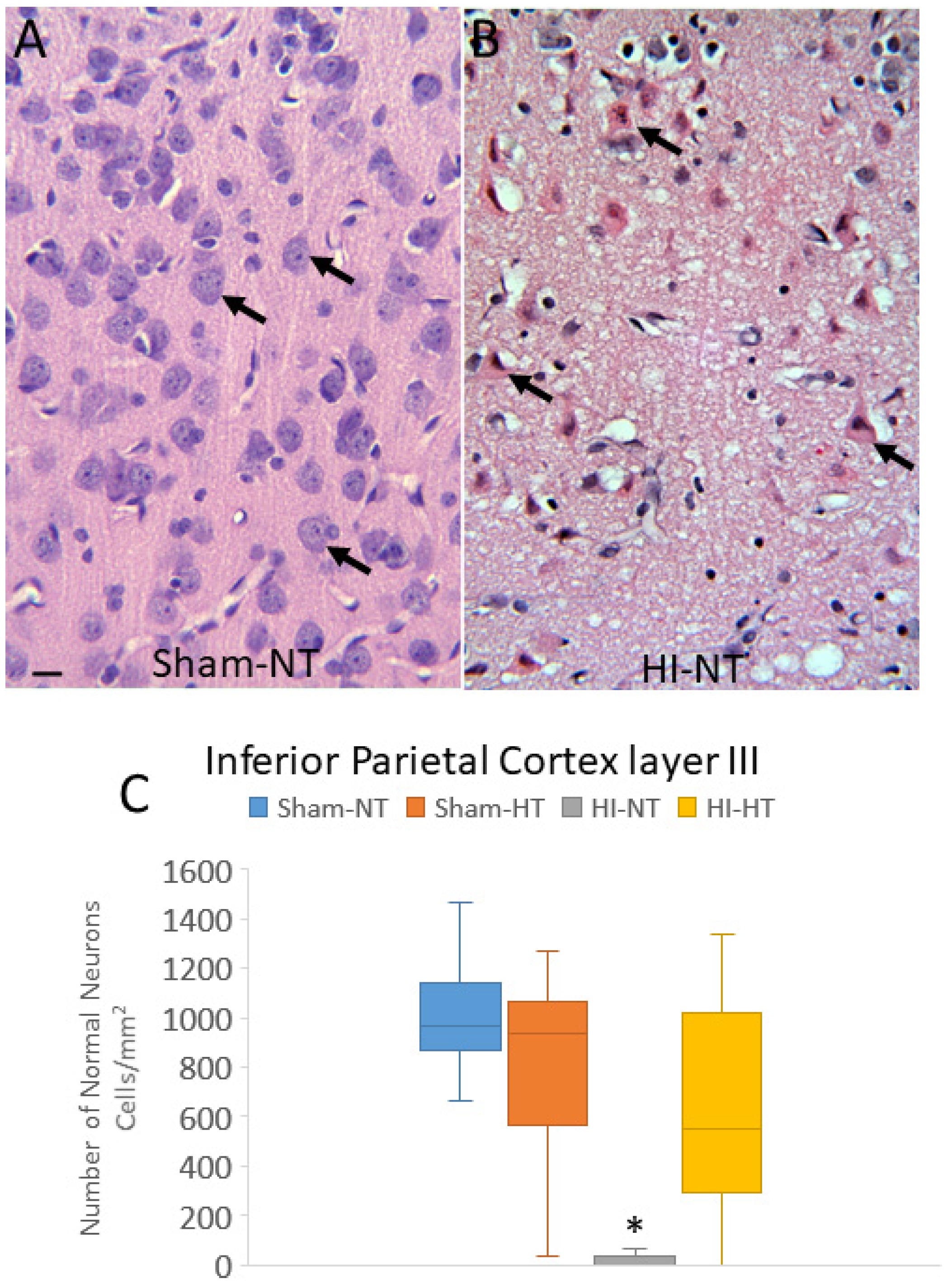 Cells 12 02454 g009 Cells 12 02454 g009