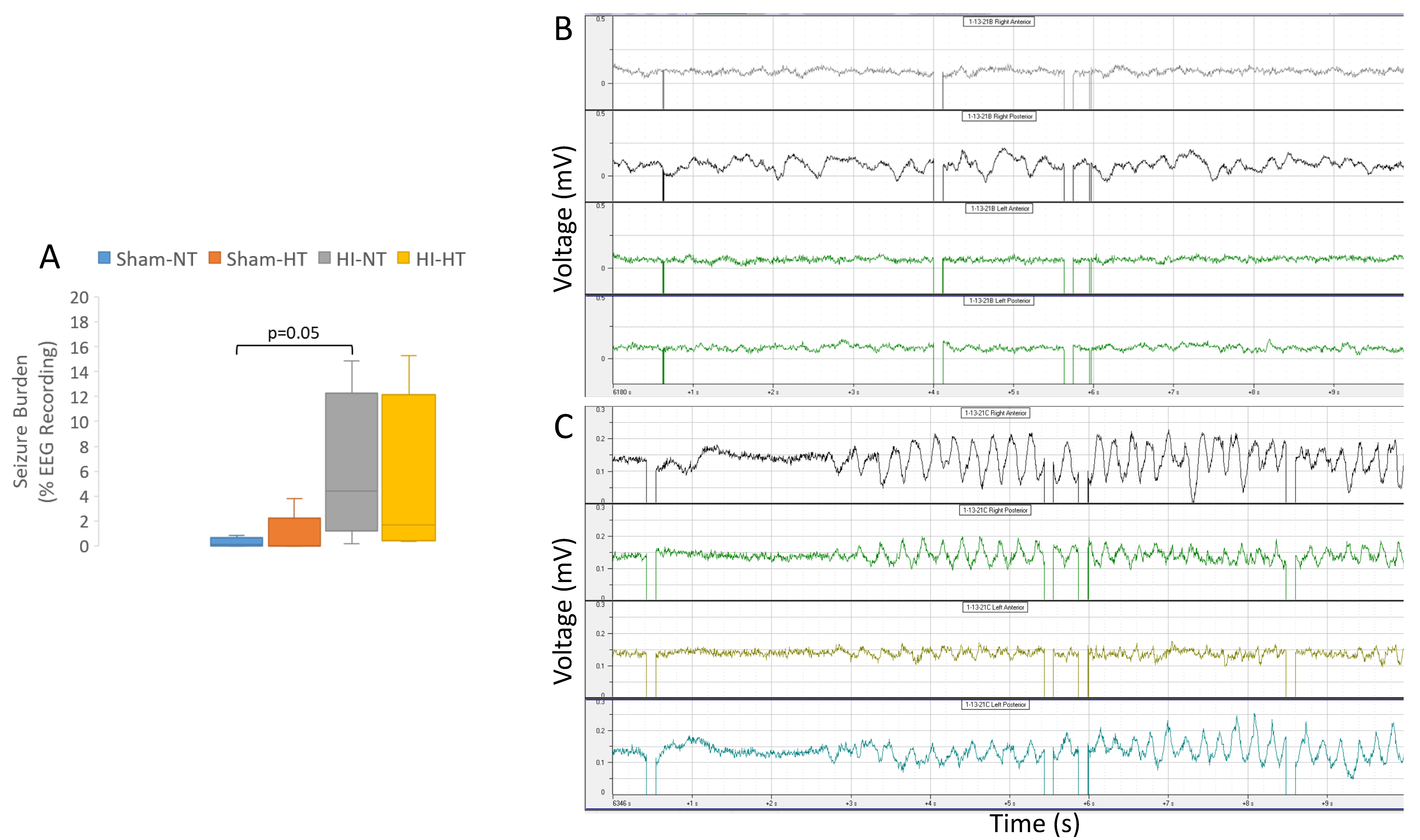Cells 12 02454 g011 Cells 12 02454 g011