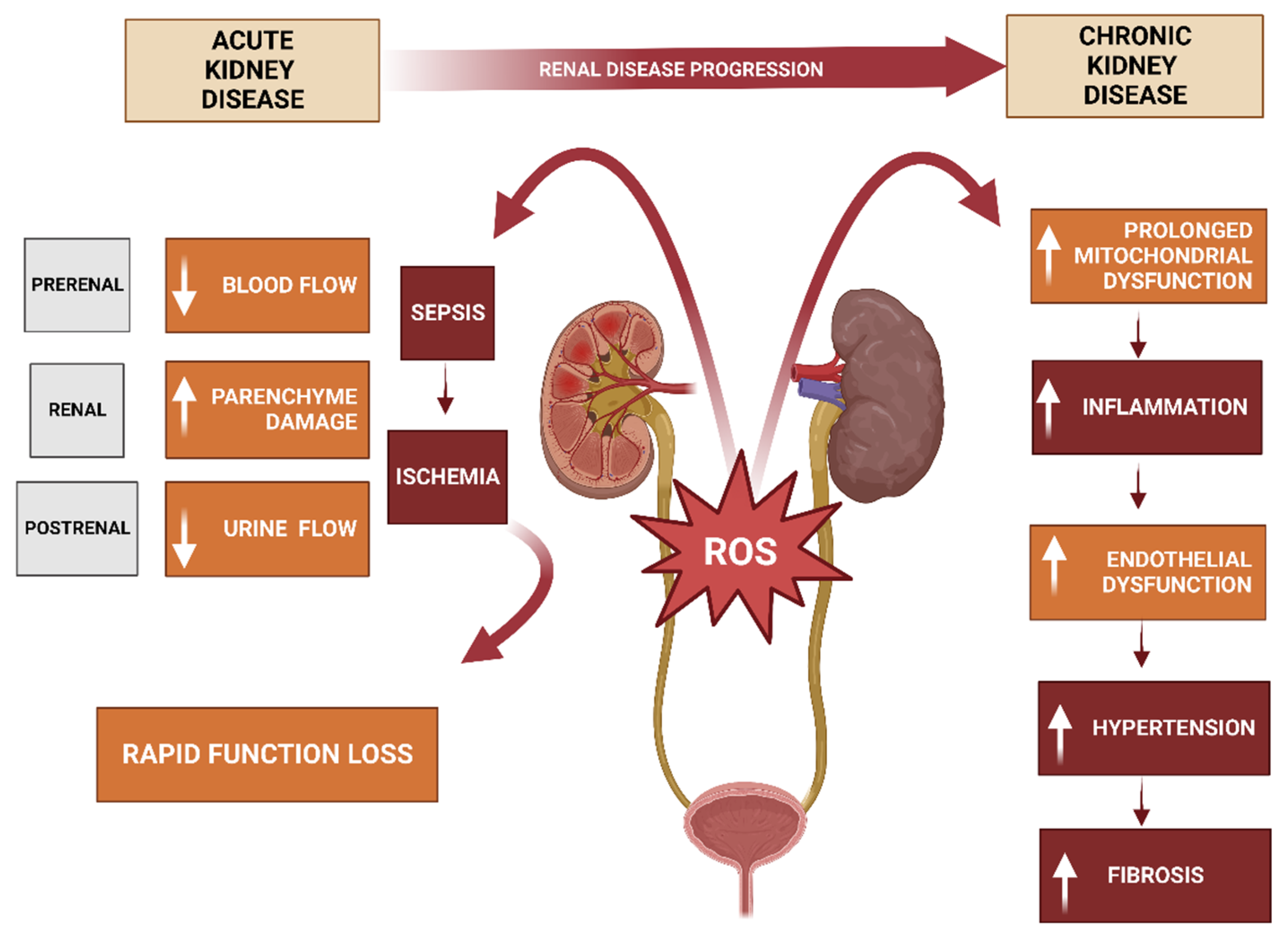 Cells 12 02455 g004 Cells 12 02455 g004