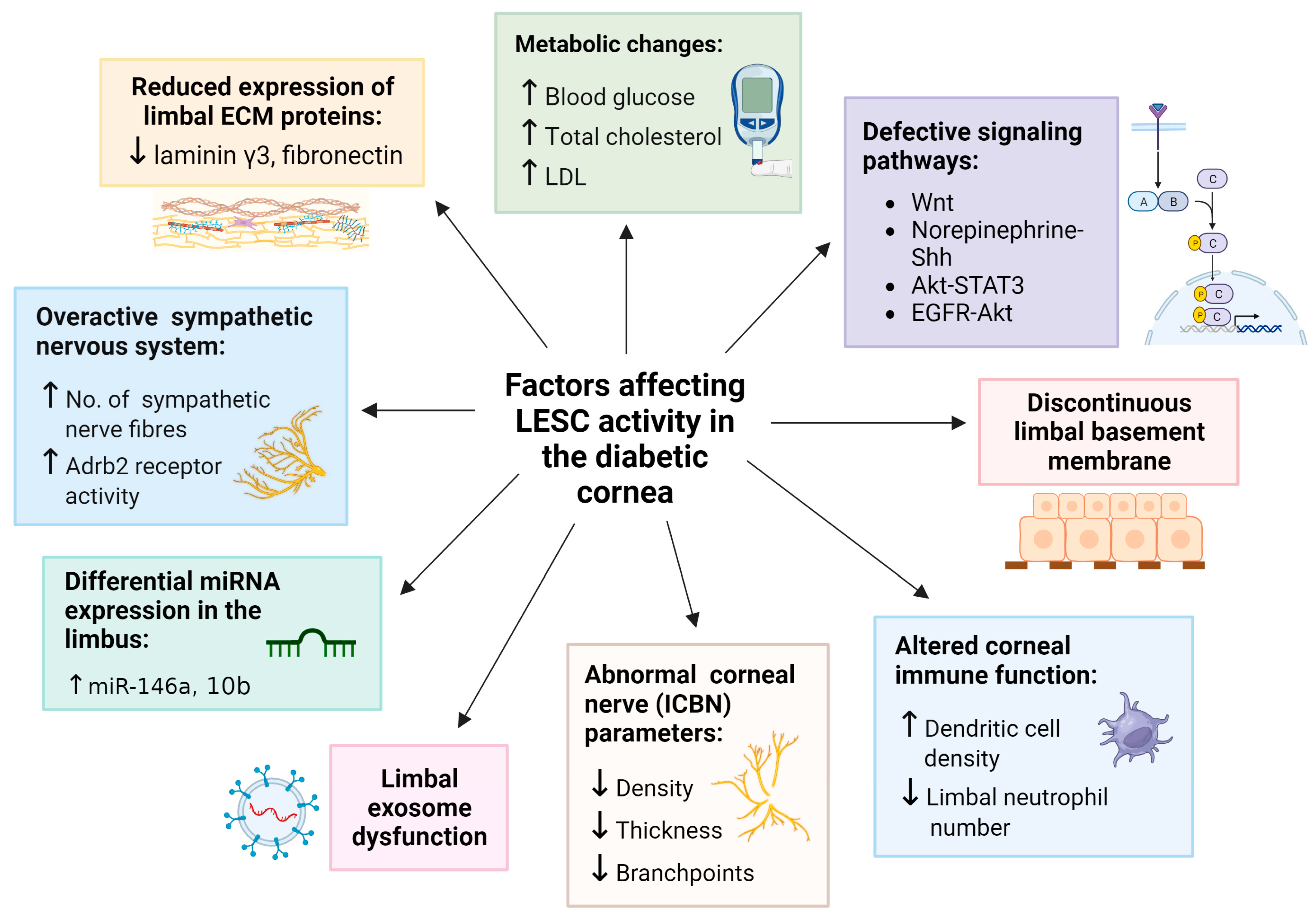 Cells 12 02458 g002 Cells 12 02458 g002