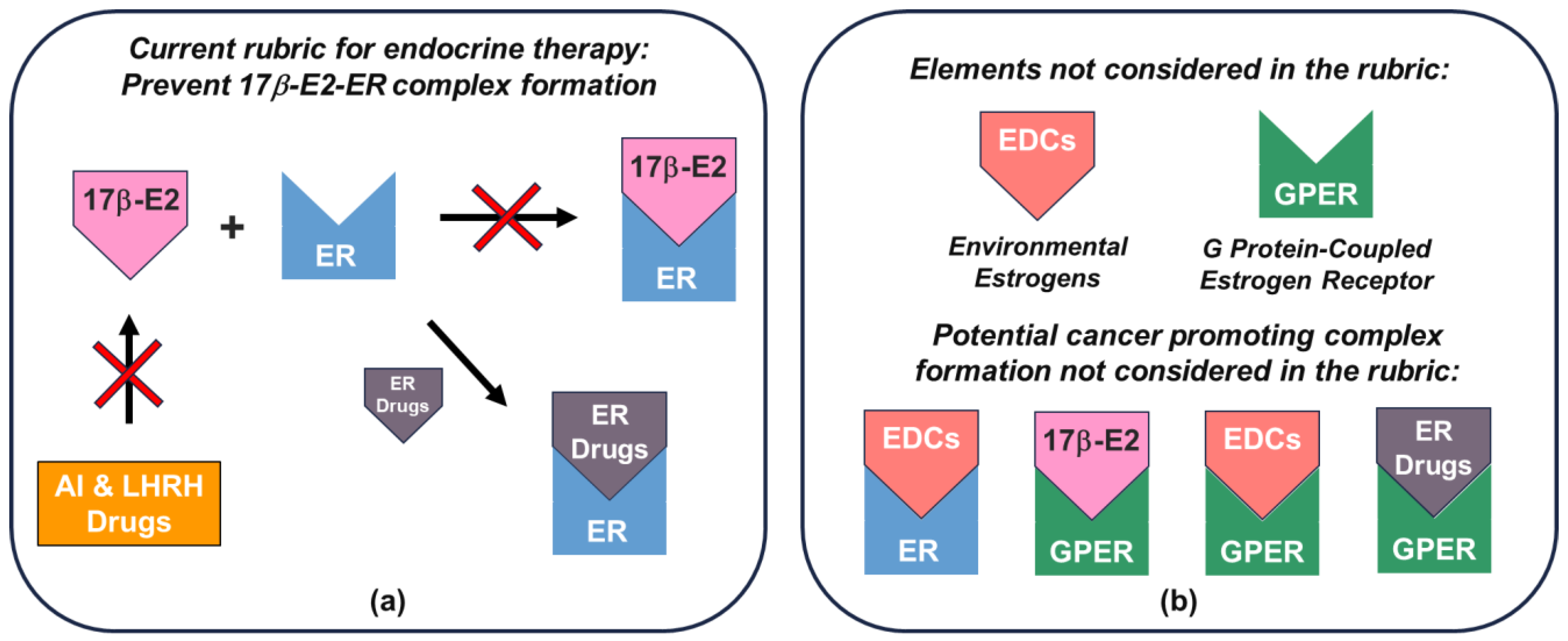 Cells 12 02460 g004 Cells 12 02460 g004