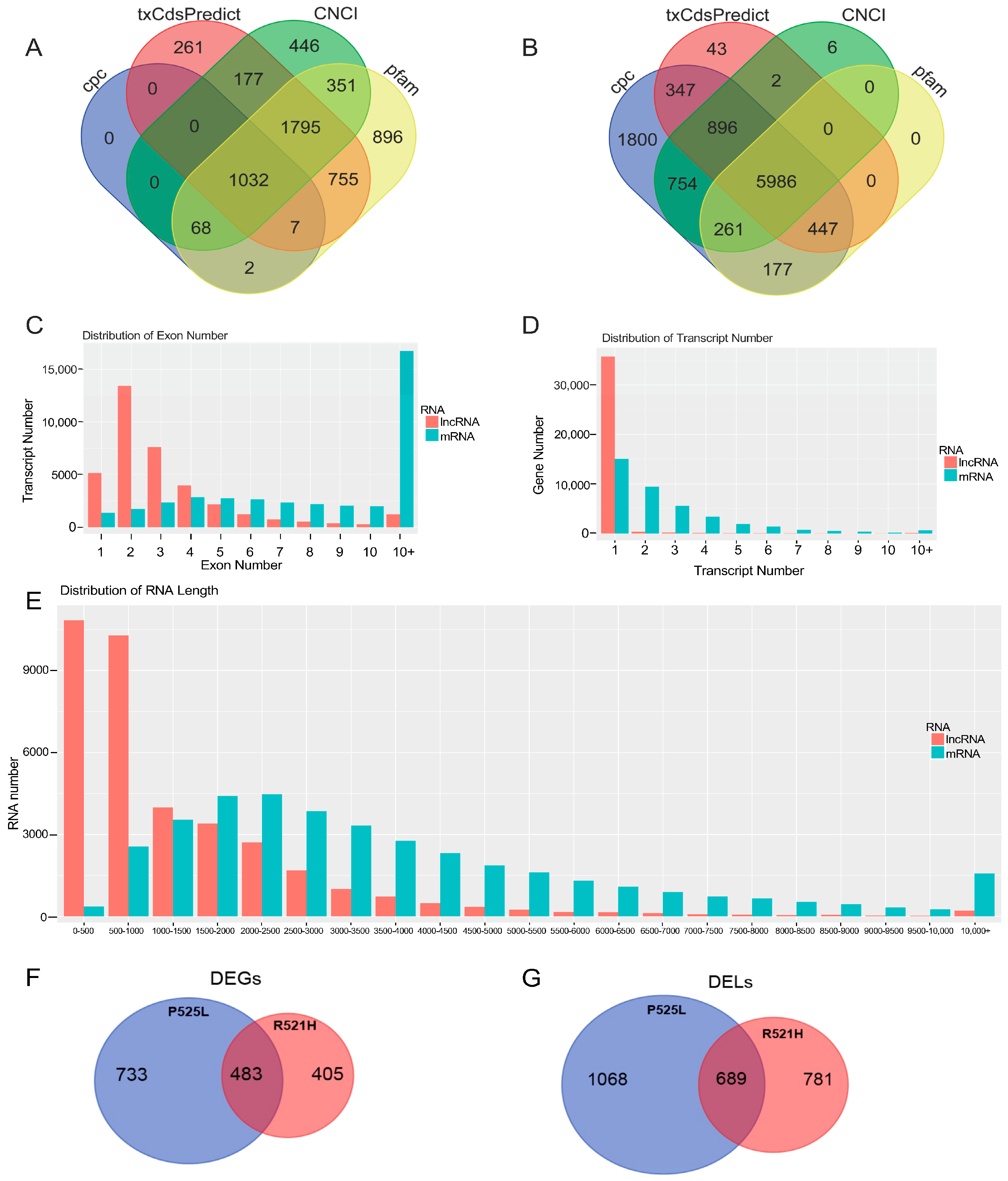 Cells 12 02461 g001 Cells 12 02461 g001