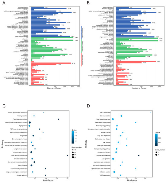 lncRNA Sequencing Reveals Neurodegeneration-Associated FUS