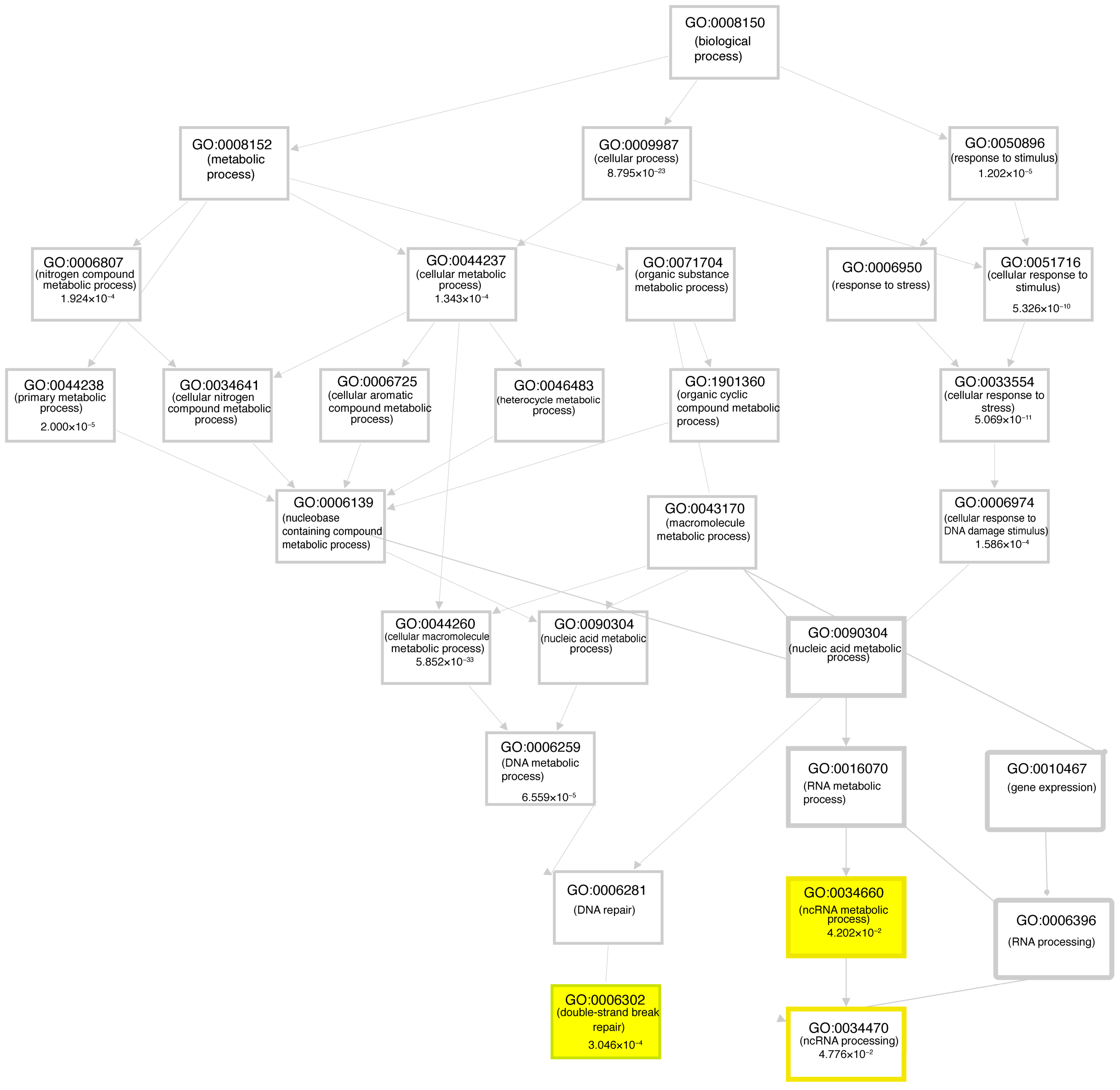 Cells 12 02461 g007 Cells 12 02461 g007