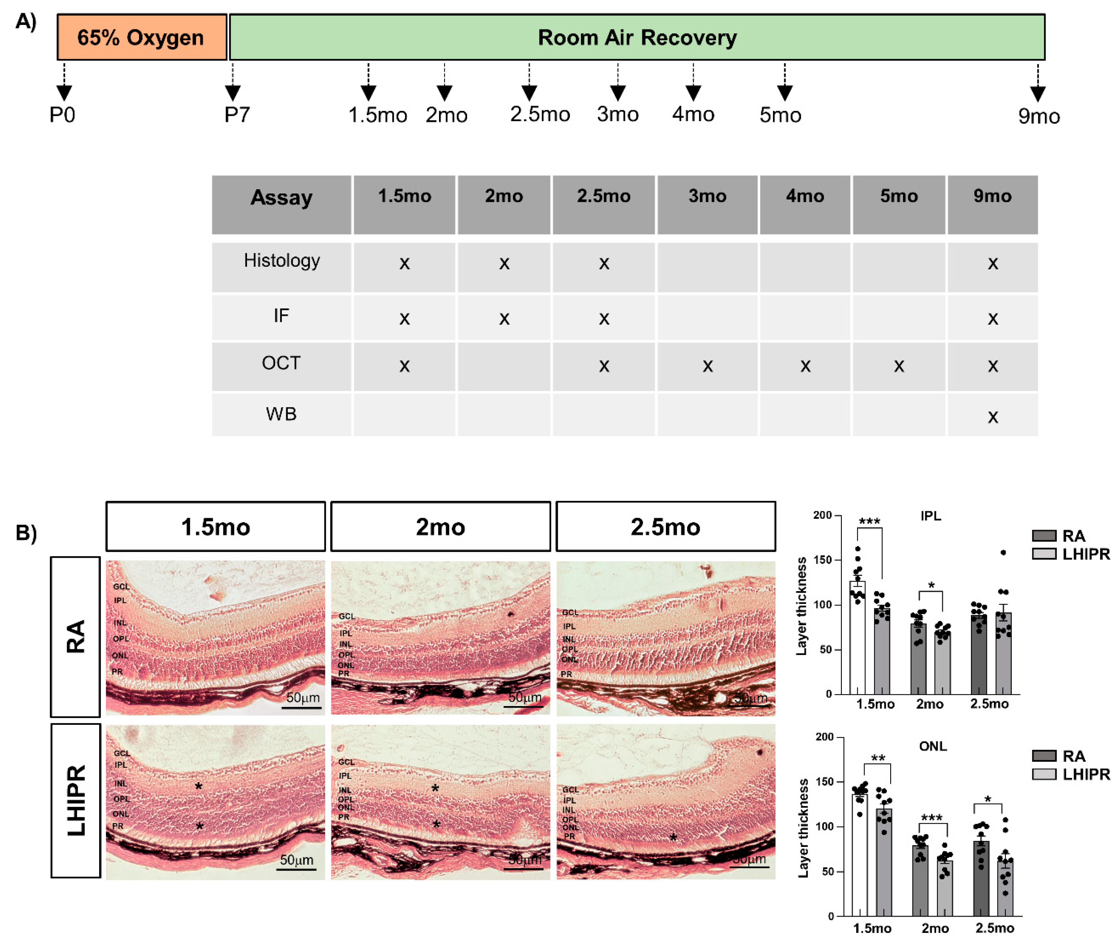 Cells 12 02468 g001 Cells 12 02468 g001