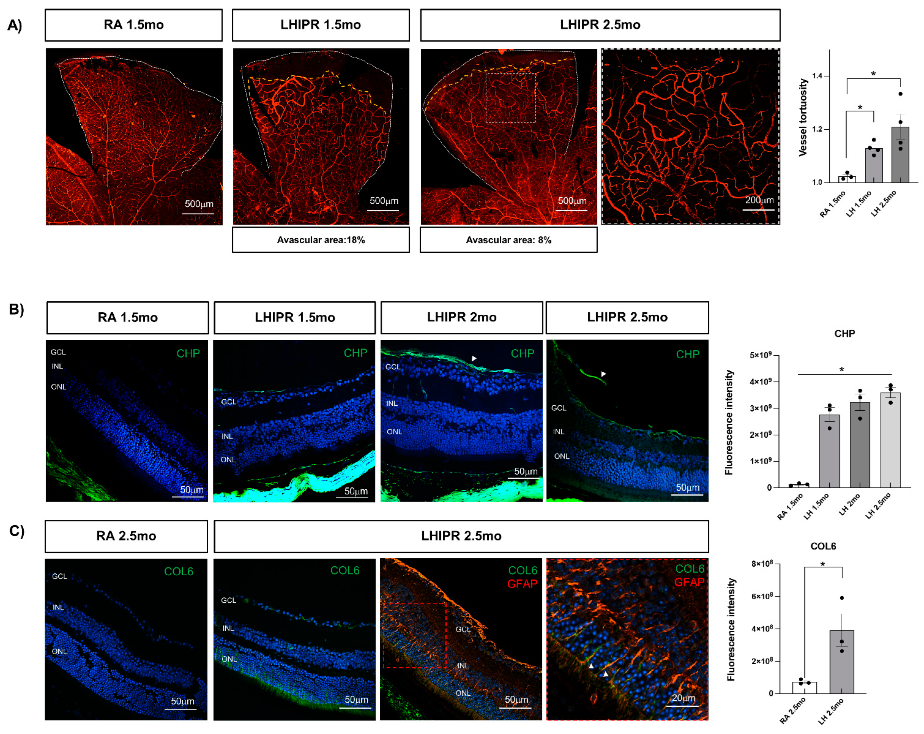 Cells 12 02468 g002 Cells 12 02468 g002
