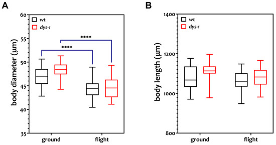 Worms In Space Spaceflight Induces Strength Decline in Caenorhabditis elegans