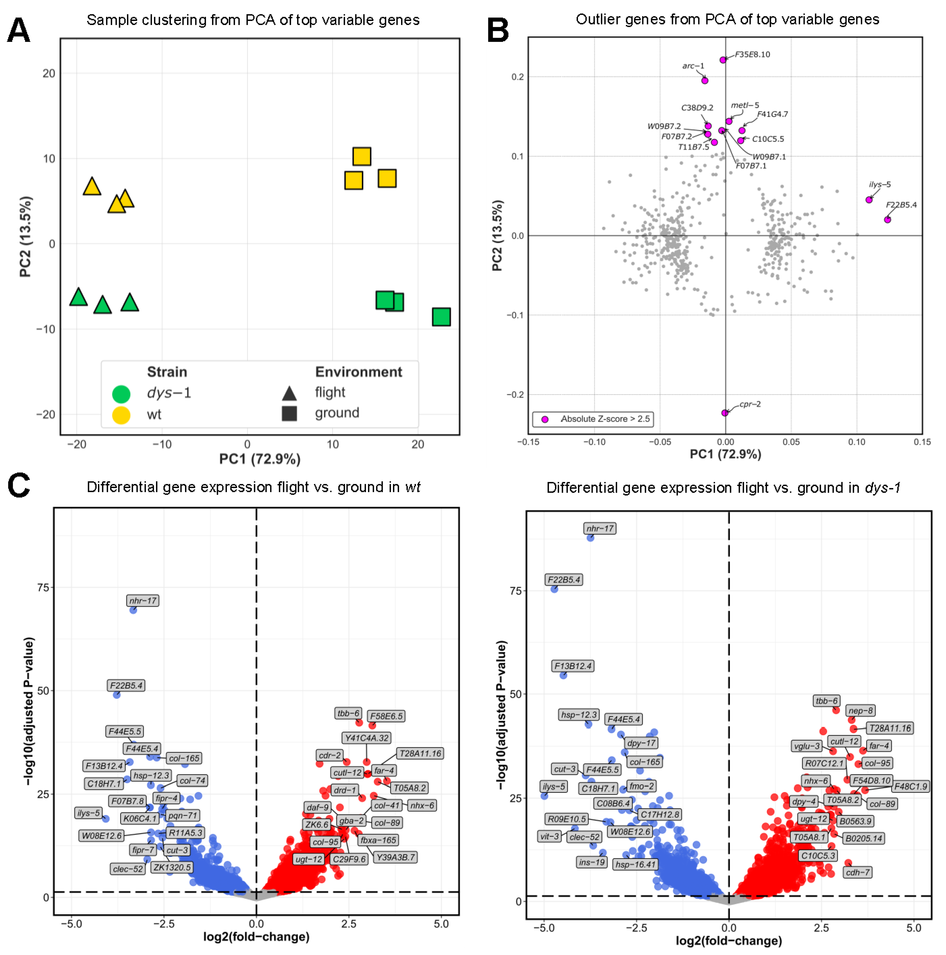 Cells 12 02470 g004 Cells 12 02470 g004