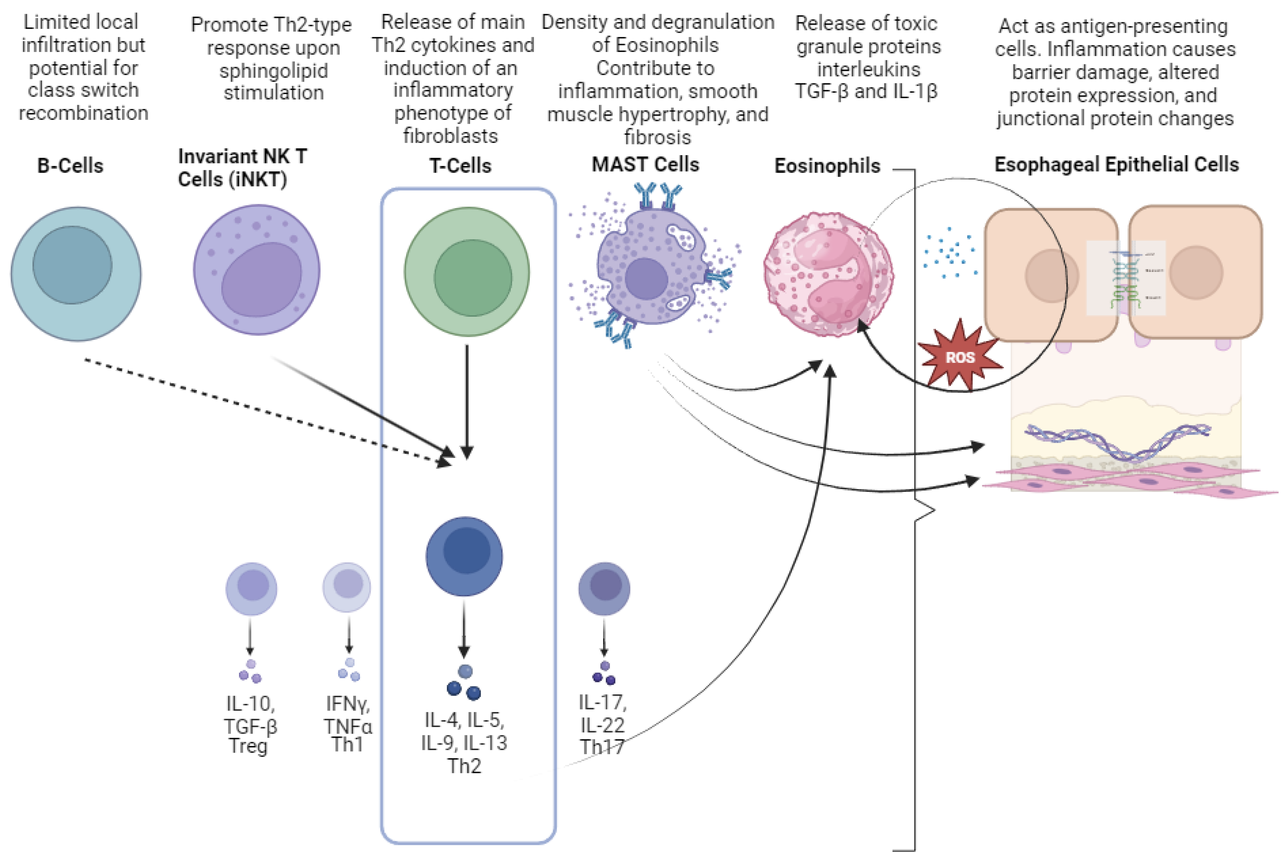 Cells 12 02473 g002 Cells 12 02473 g002