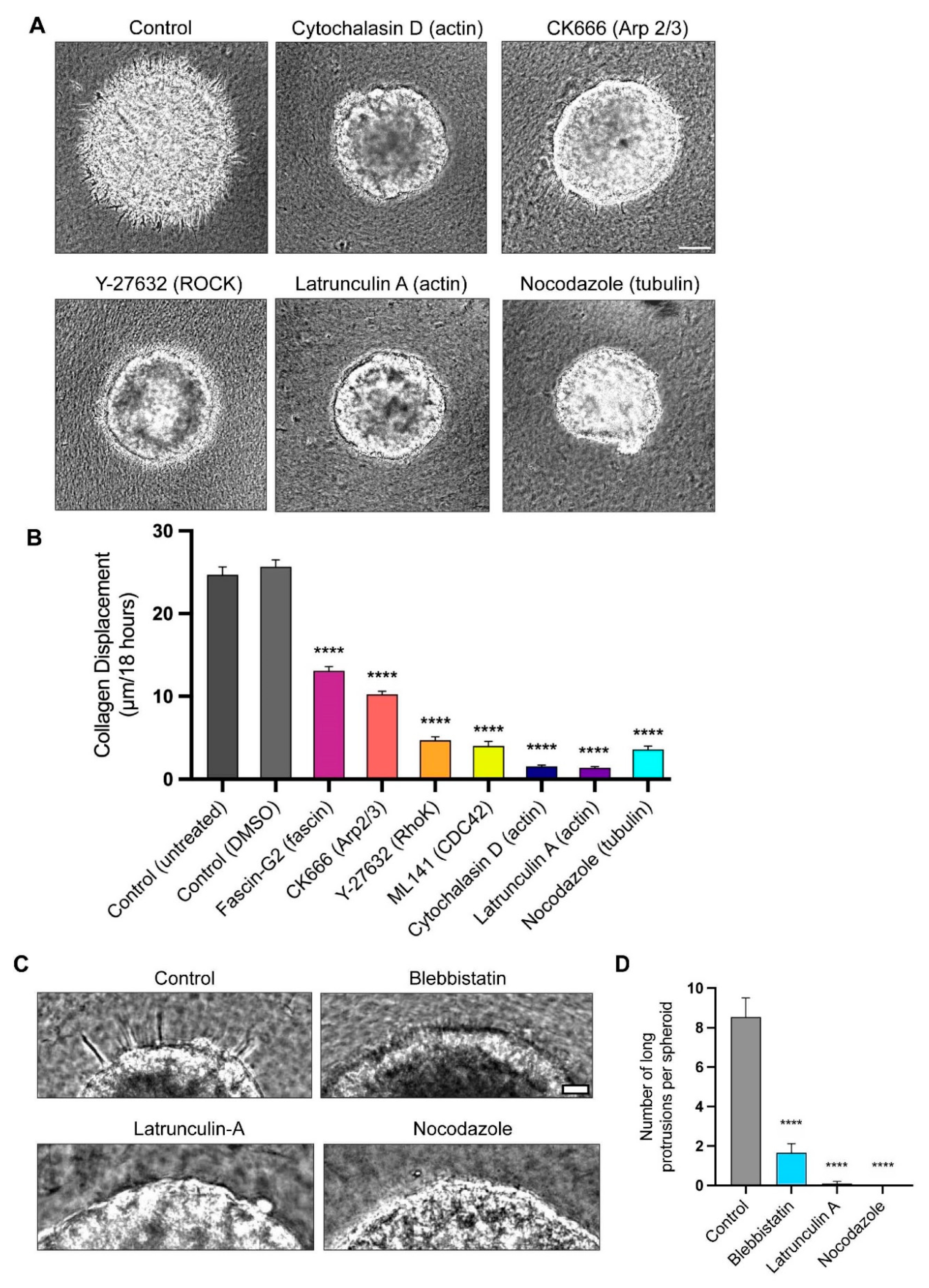 Cells 12 02474 g004 Cells 12 02474 g004