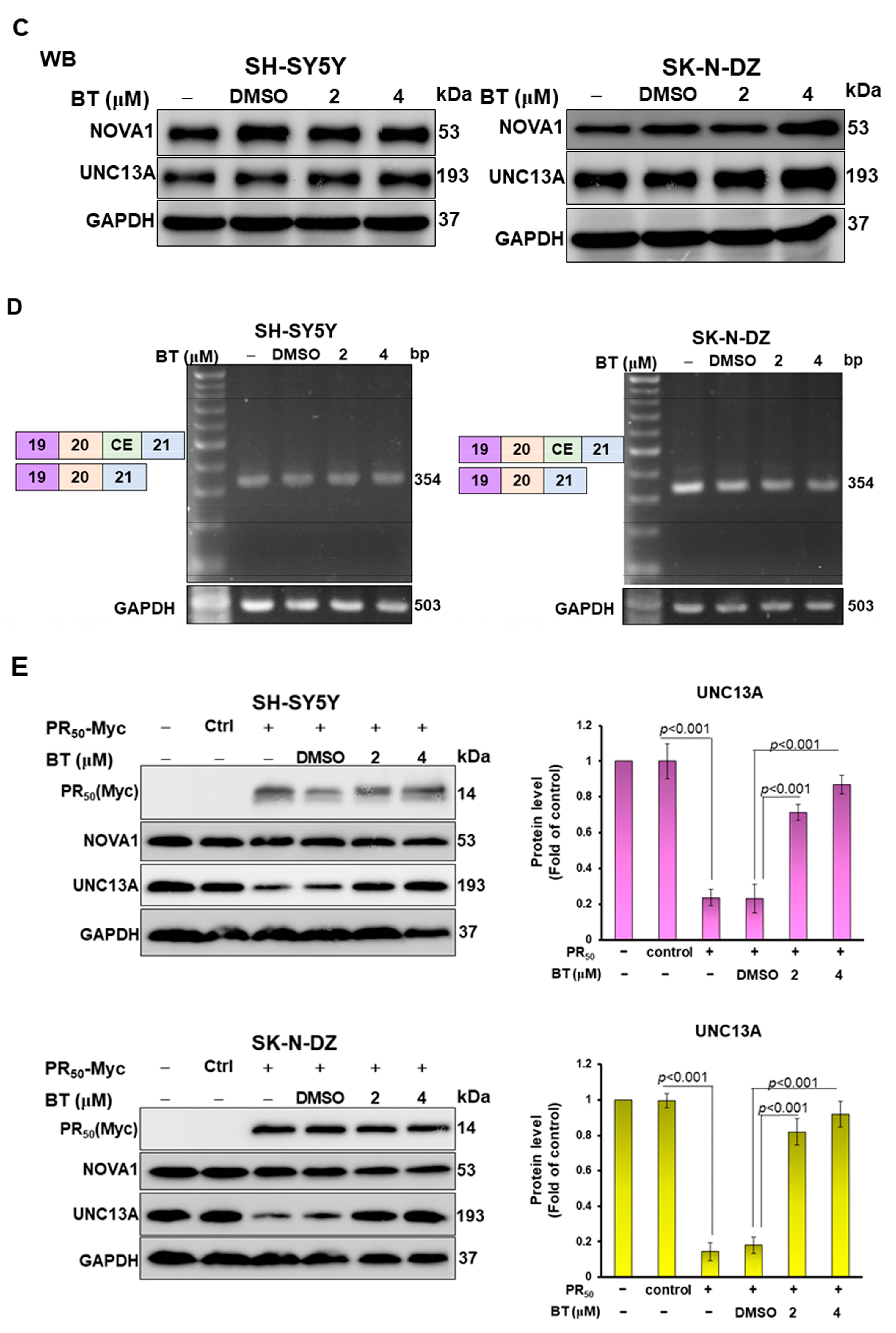 Cells 12 02476 g006b