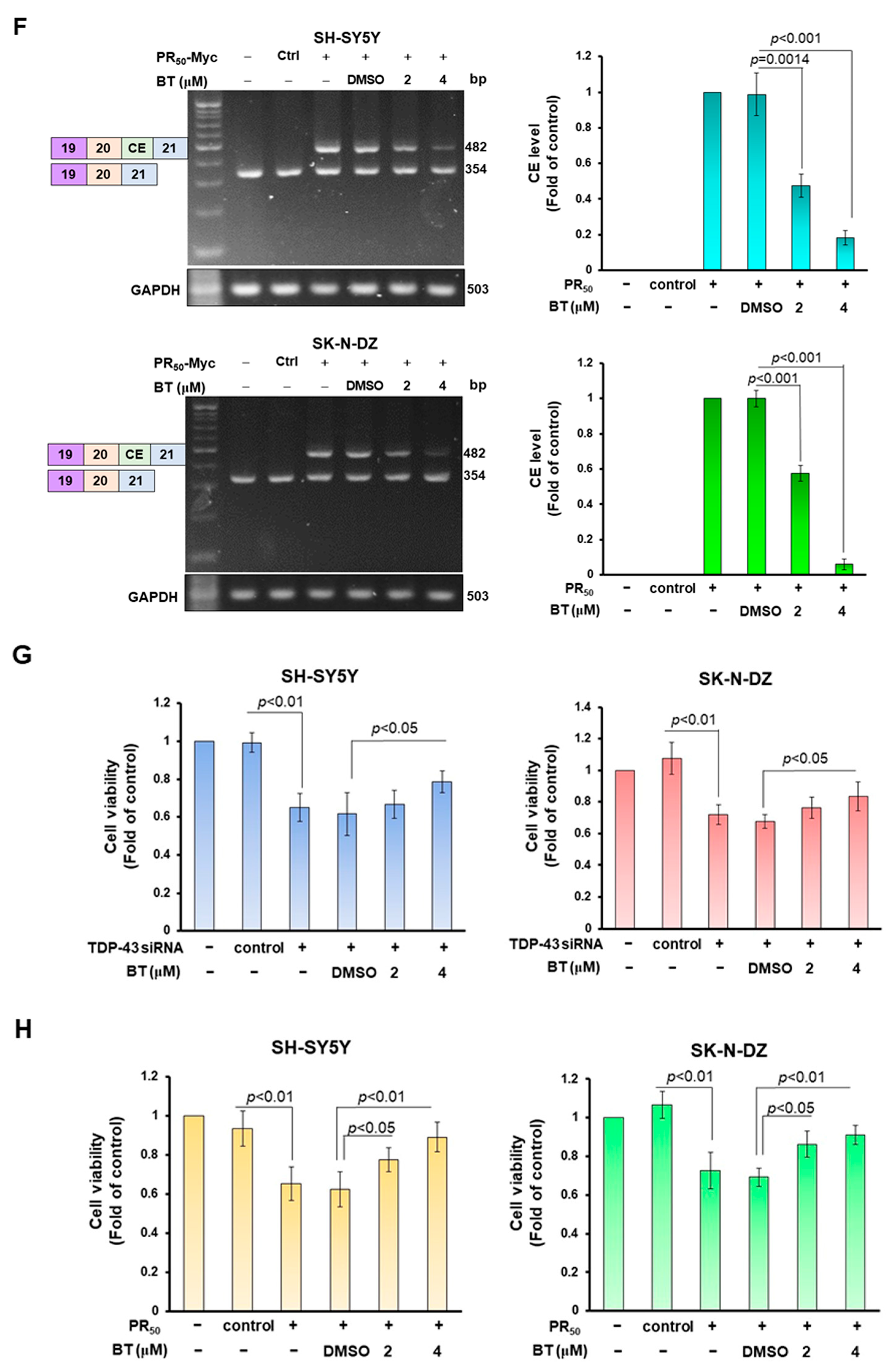 Cells 12 02476 g006c