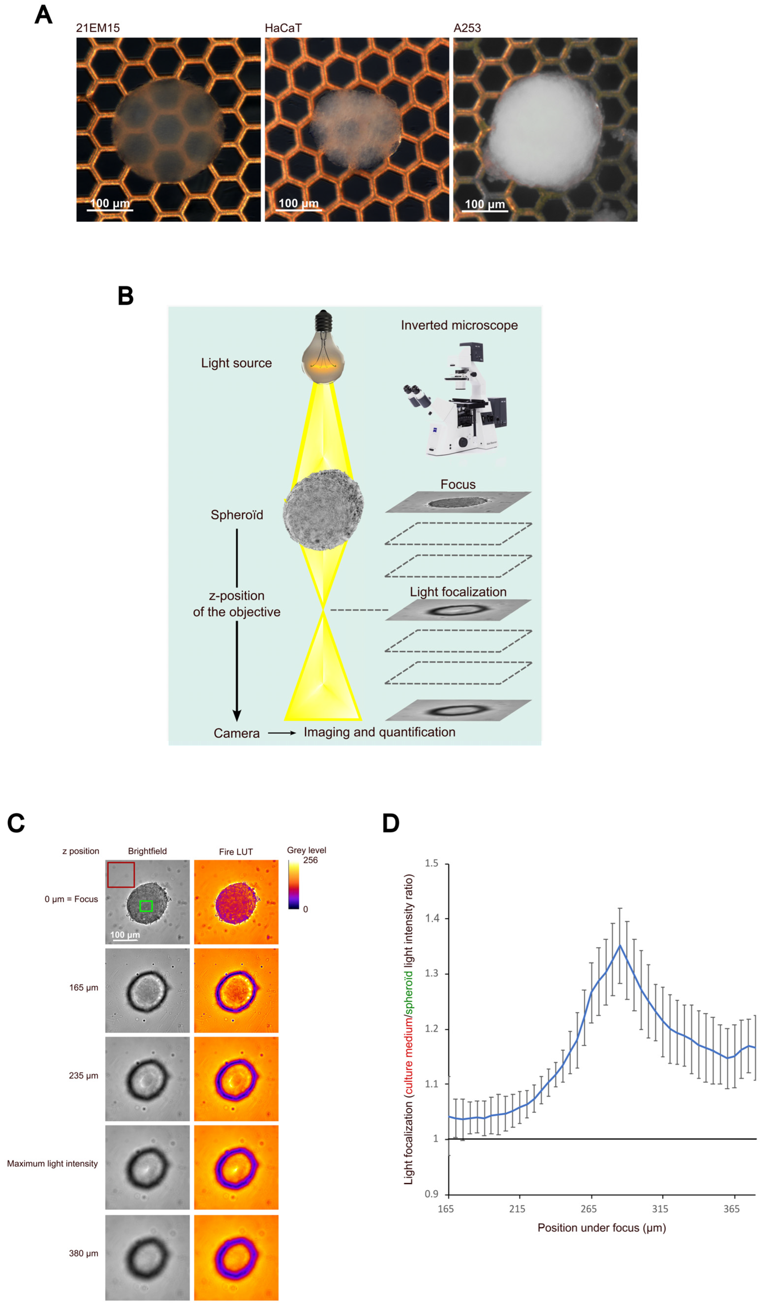 Cells 12 02478 g001 Cells 12 02478 g001