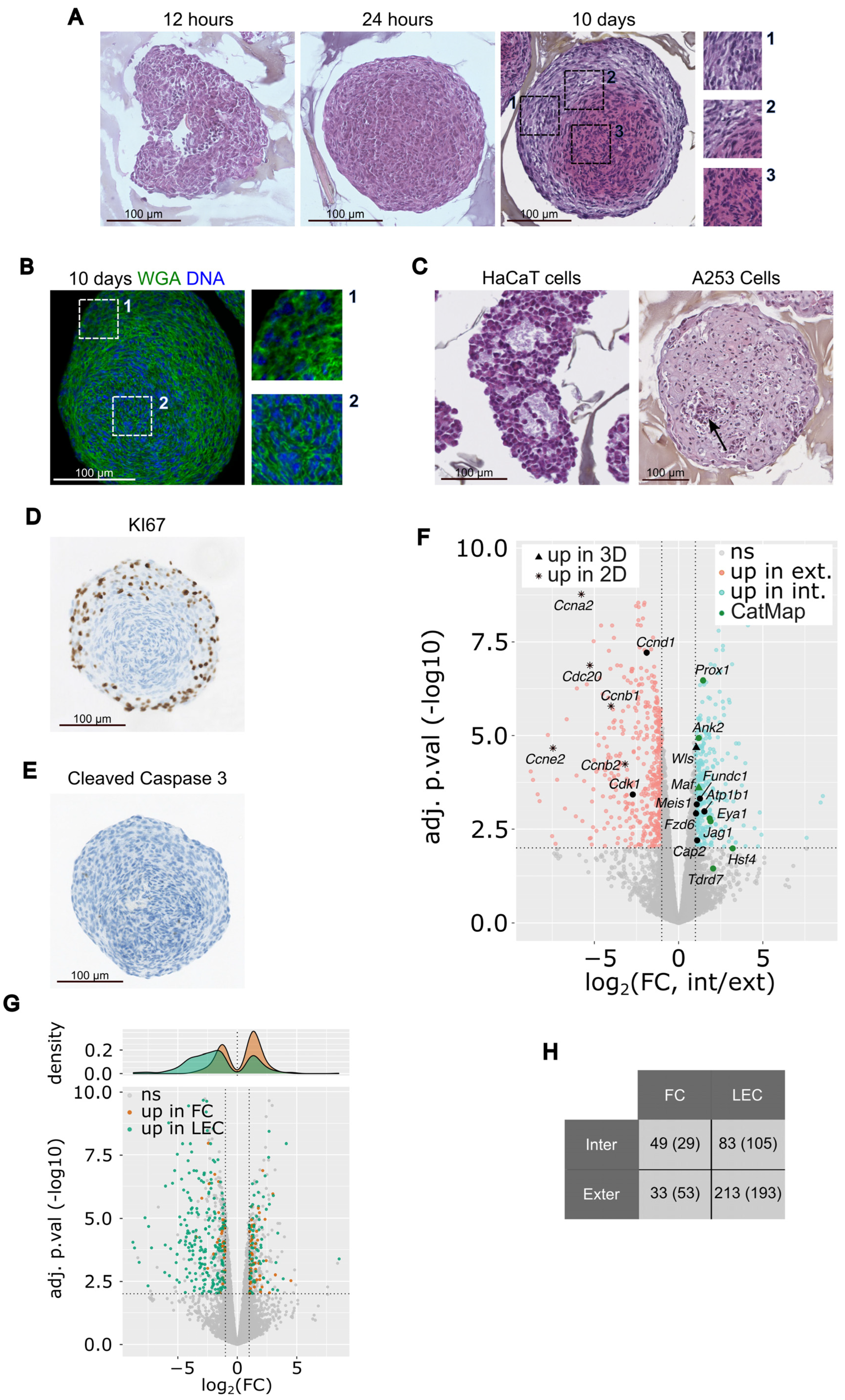 Cells 12 02478 g003 Cells 12 02478 g003
