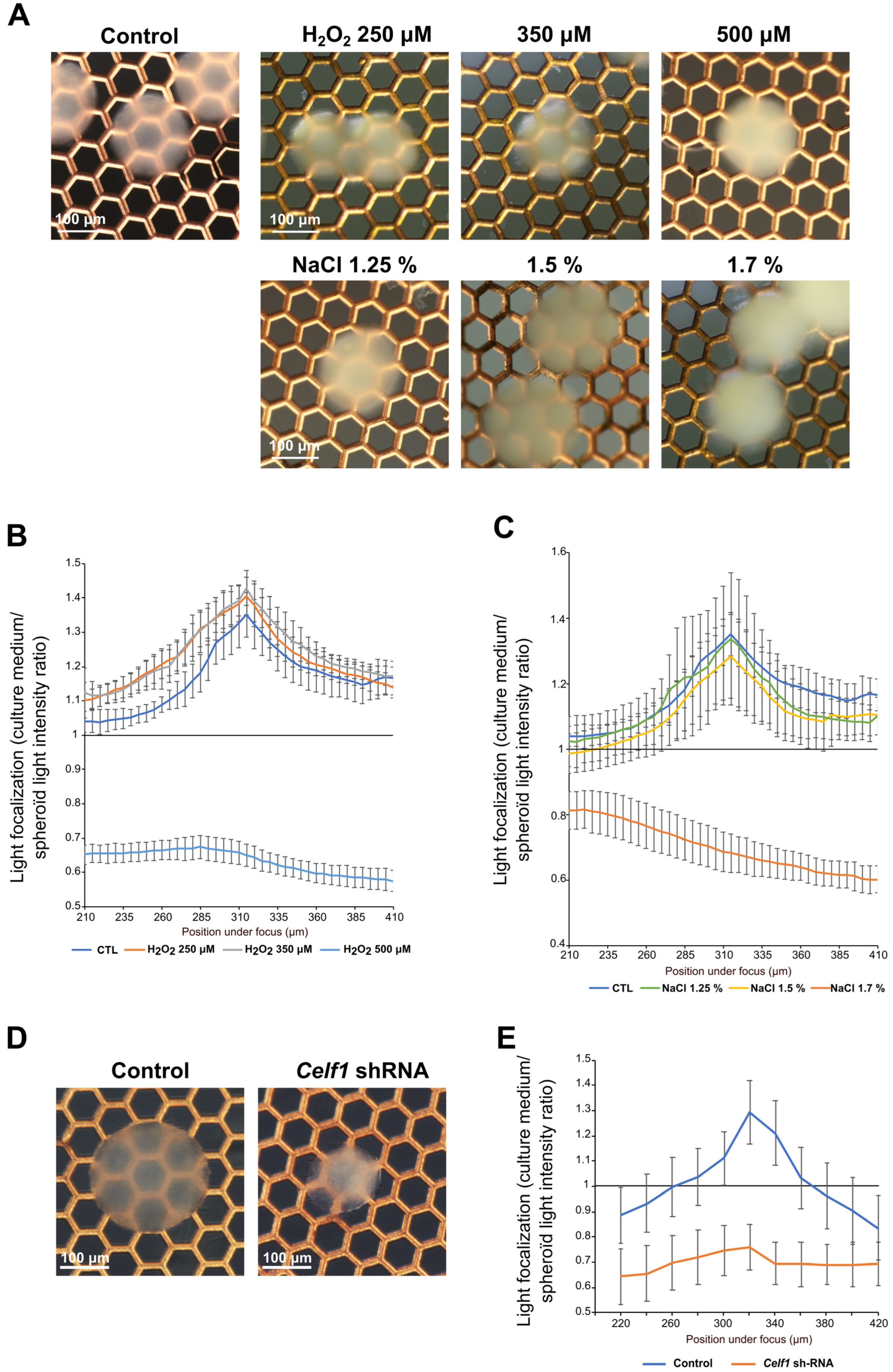 Cells 12 02478 g006 Cells 12 02478 g006