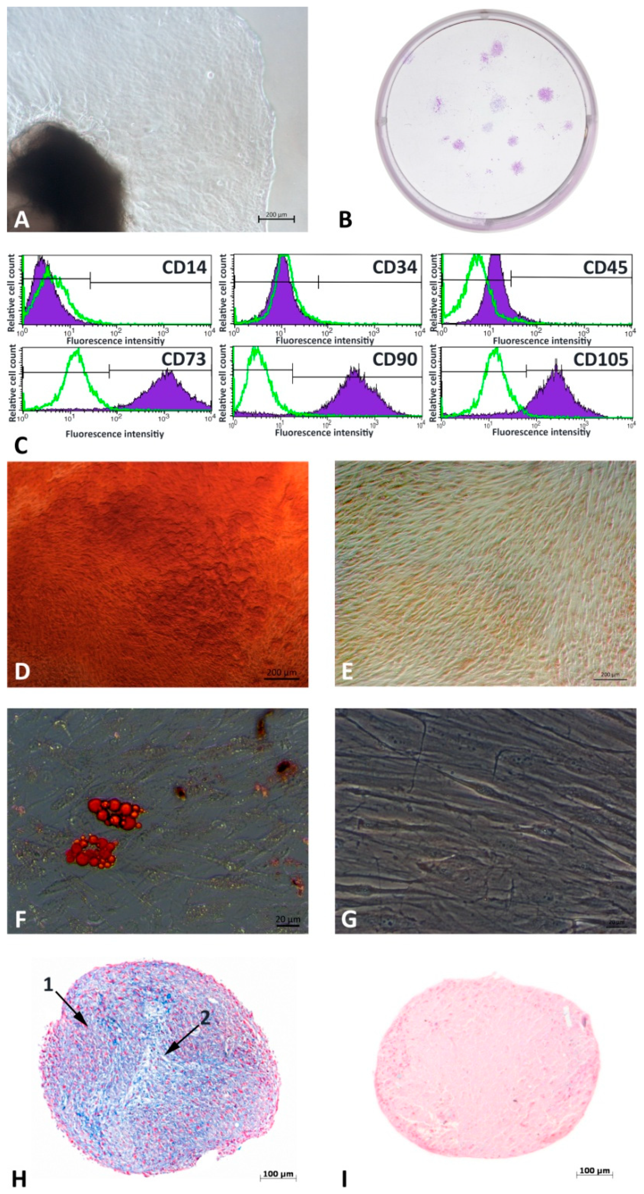 Cells 12 02479 g001 Cells 12 02479 g001