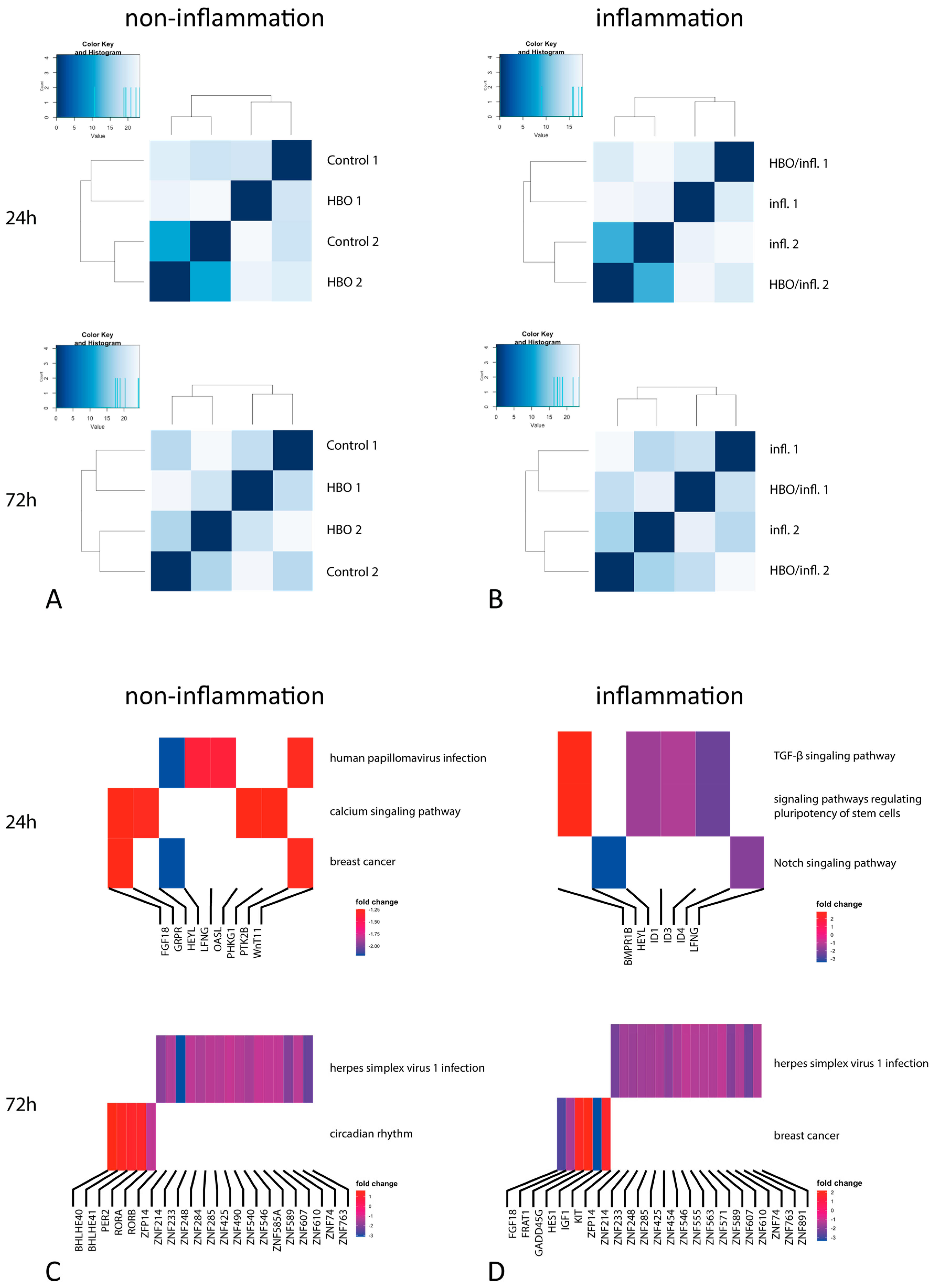 Cells 12 02479 g002 Cells 12 02479 g002