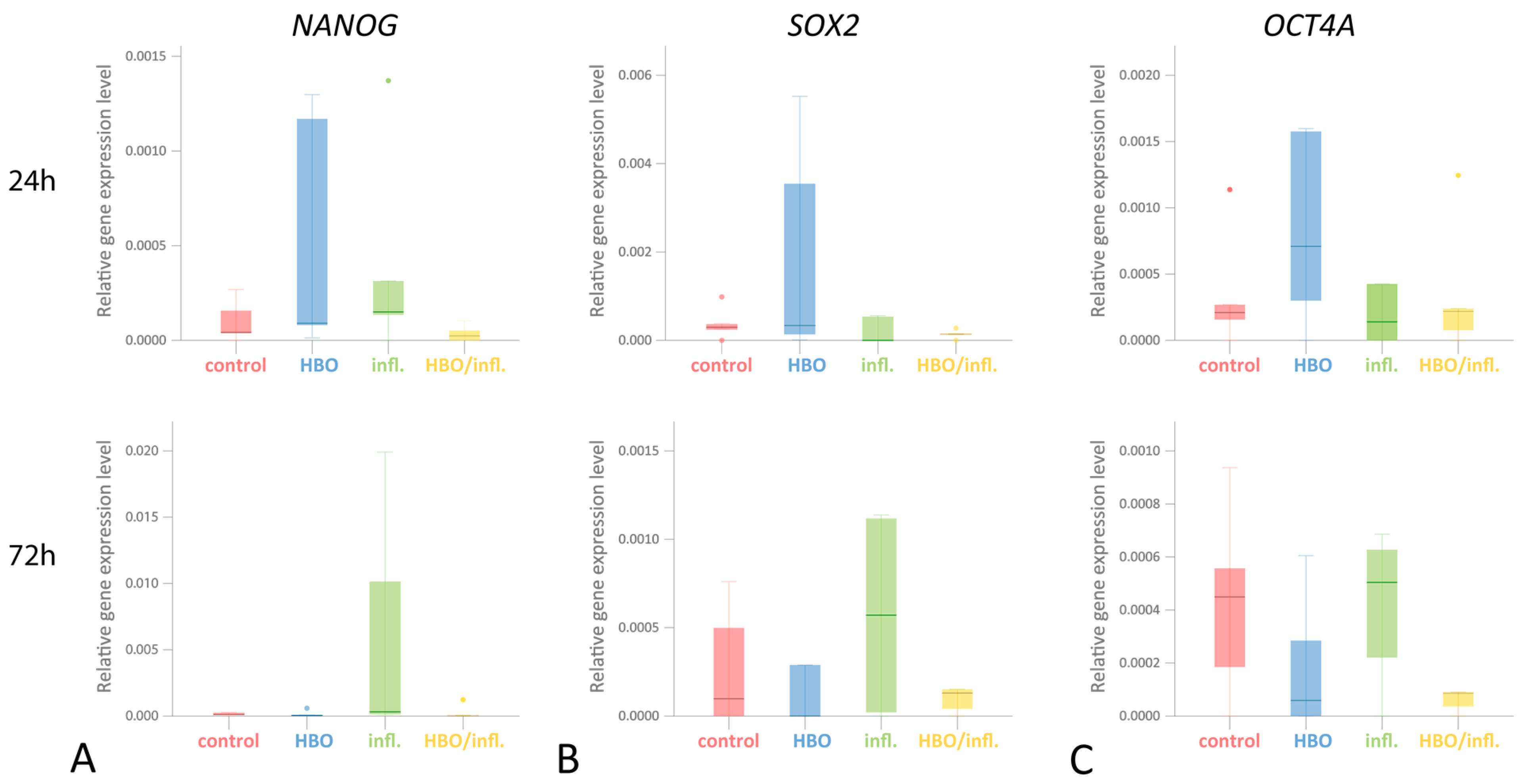 Cells 12 02479 g003 Cells 12 02479 g003