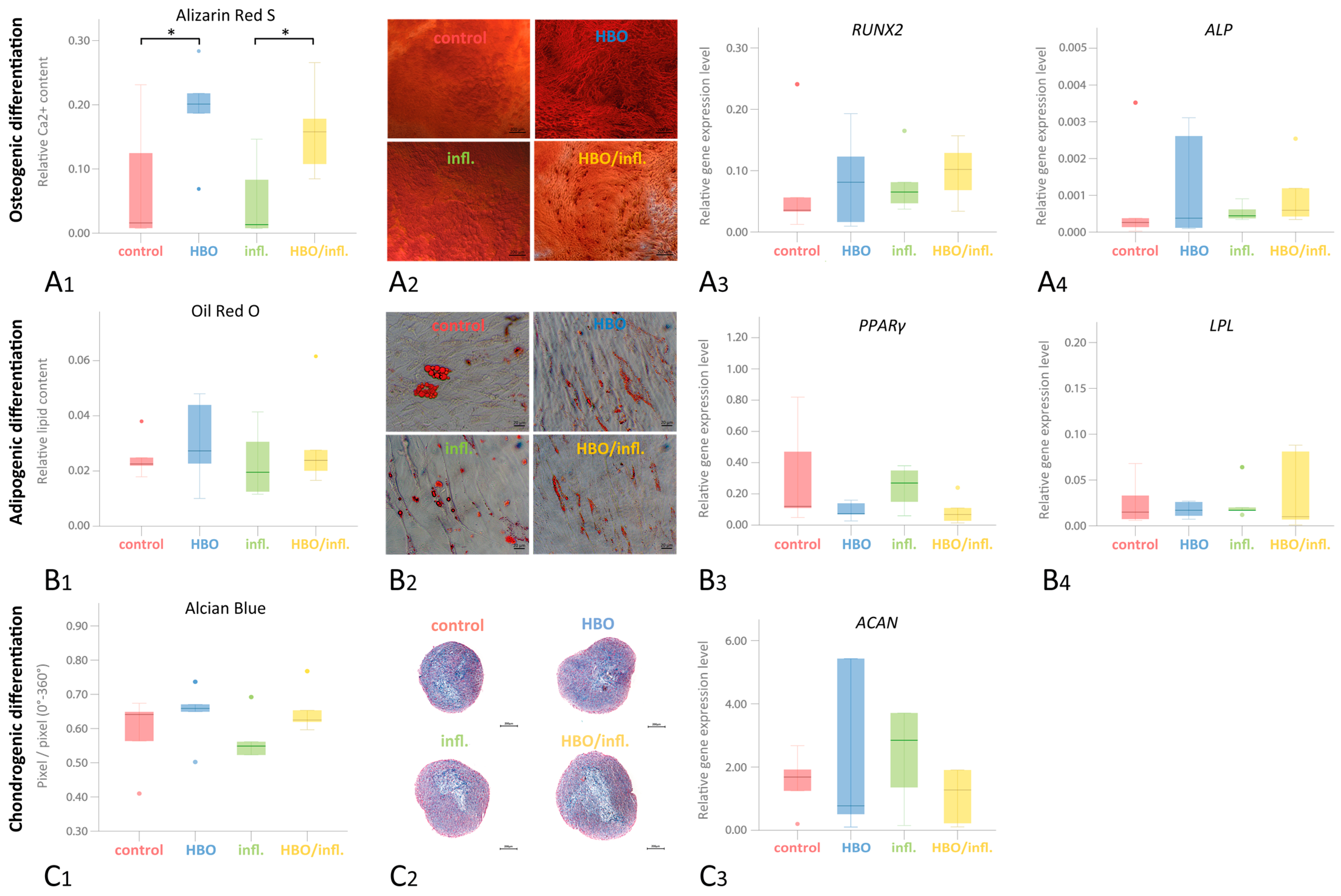 Cells 12 02479 g005 Cells 12 02479 g005