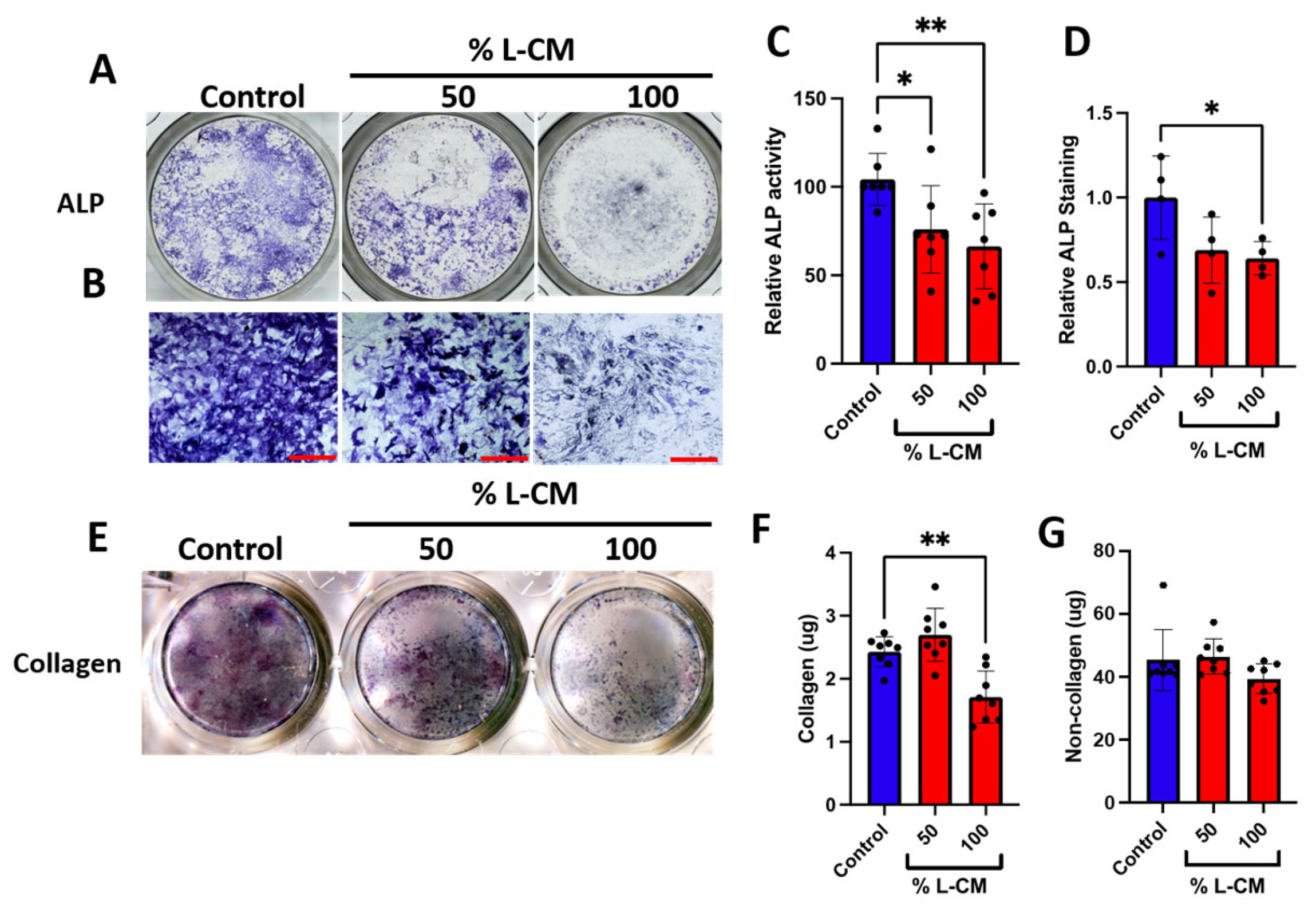 Cells 12 02482 g007 Cells 12 02482 g007