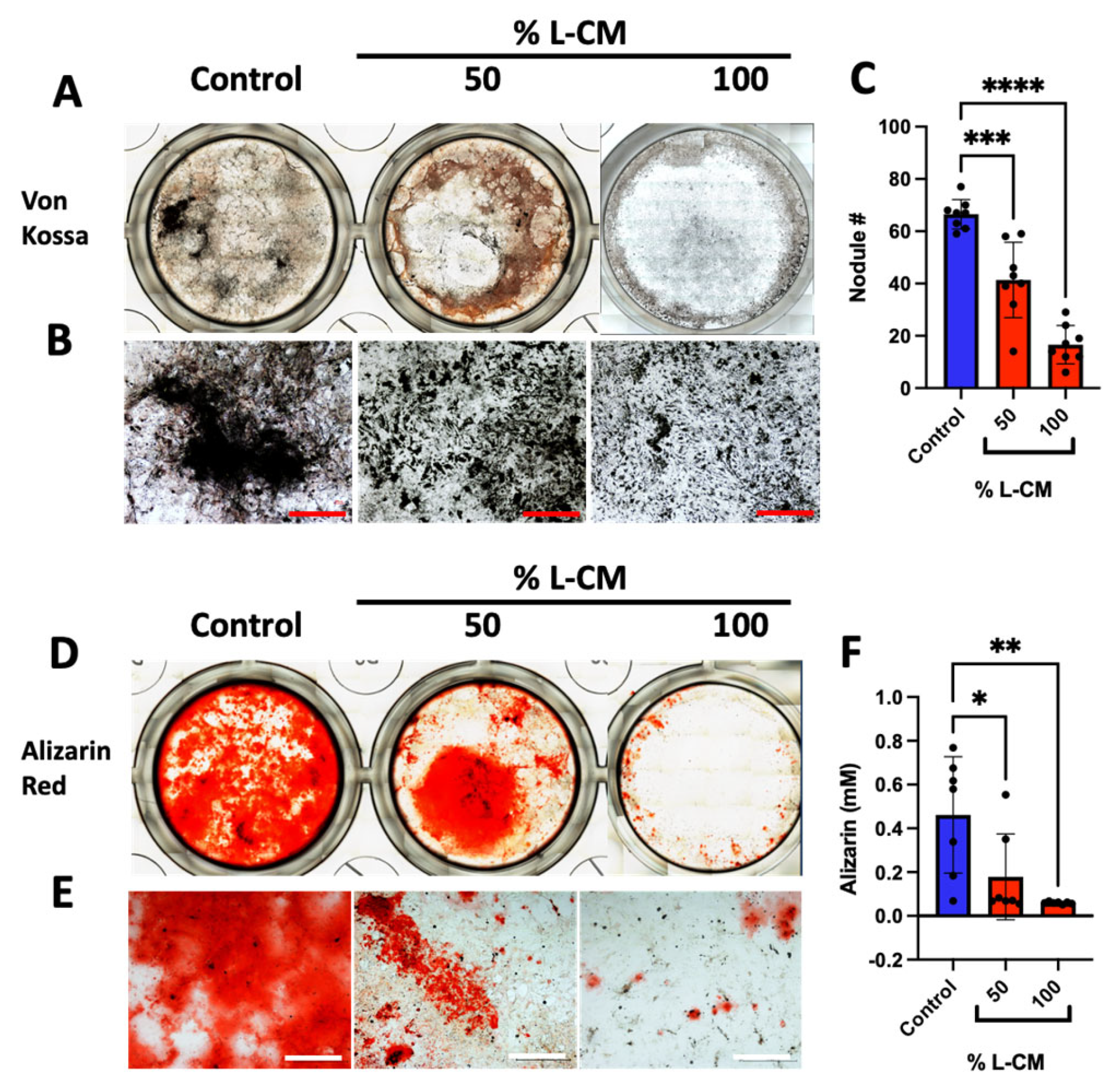 Cells 12 02482 g008 Cells 12 02482 g008