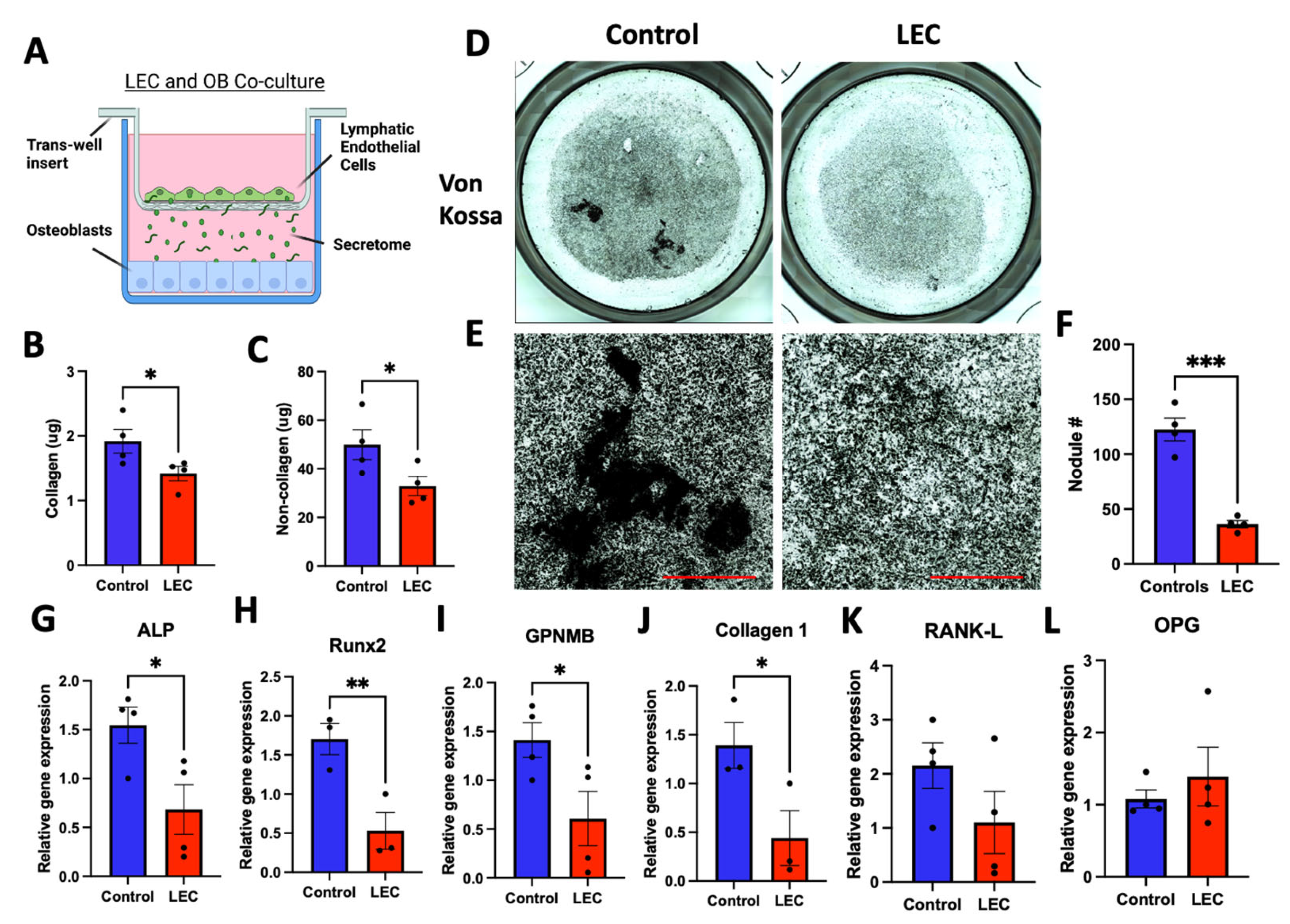 Cells 12 02482 g009 Cells 12 02482 g009