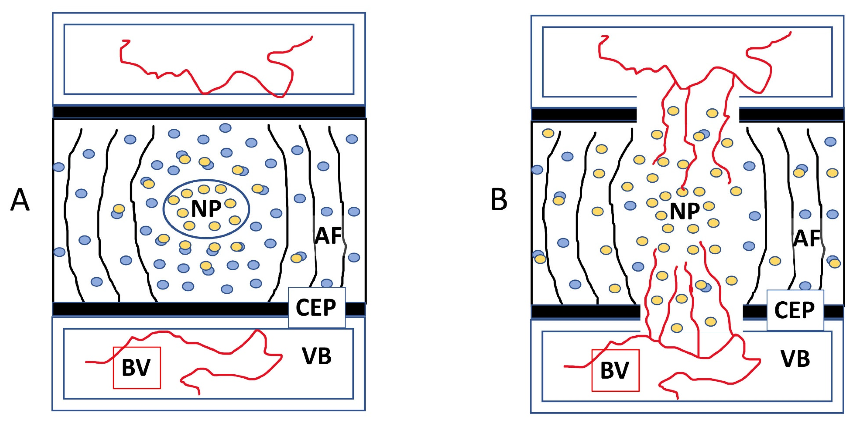 Cells 12 02488 g008 Cells 12 02488 g008
