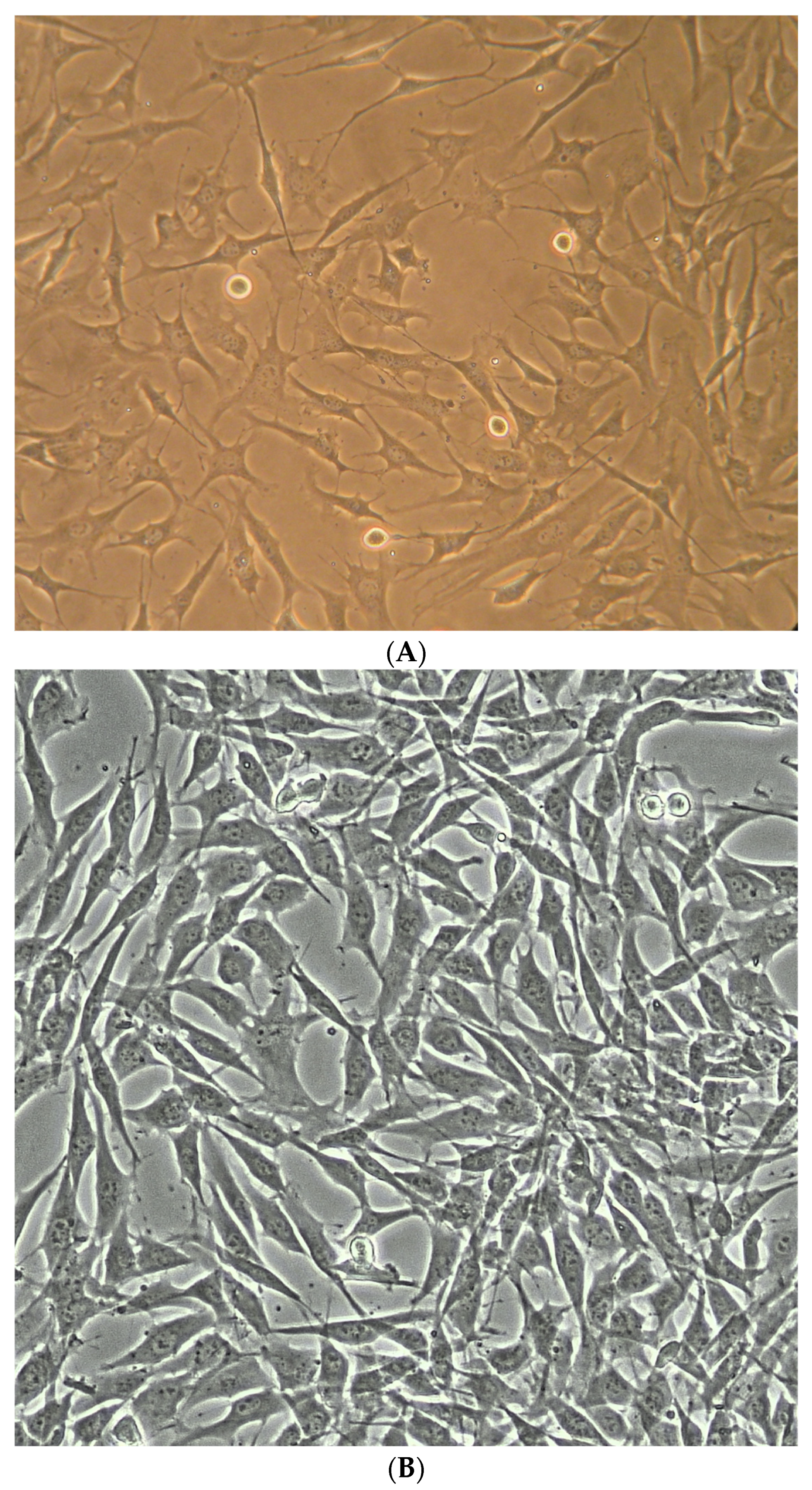 Cells 12 02488 g0a2 Cells 12 02488 g0a2