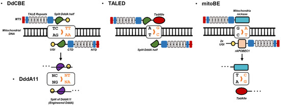 anes The Applications of Morphology Controlled ZnO in Catalysis