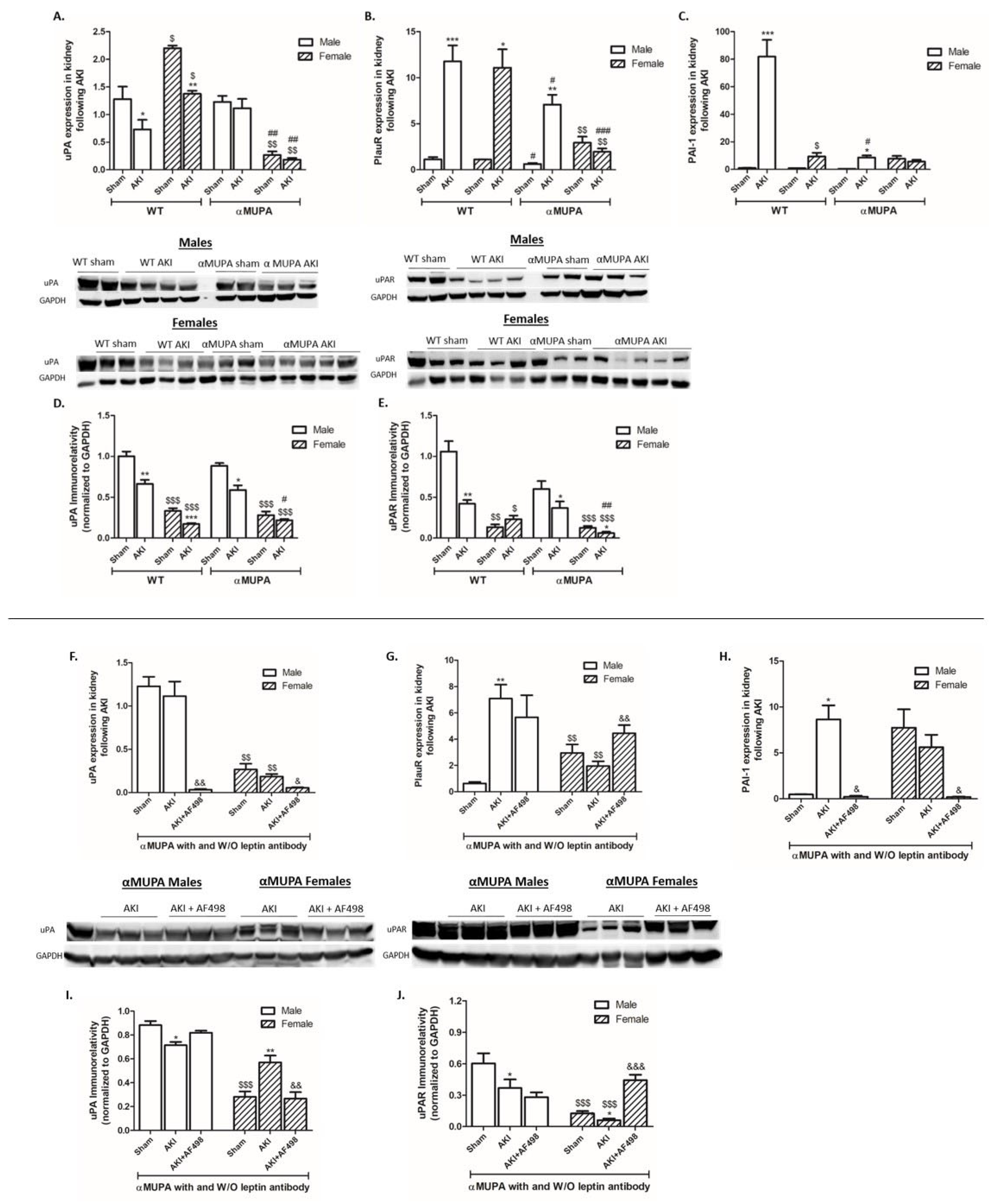 Cells 12 02497 g003 Cells 12 02497 g003