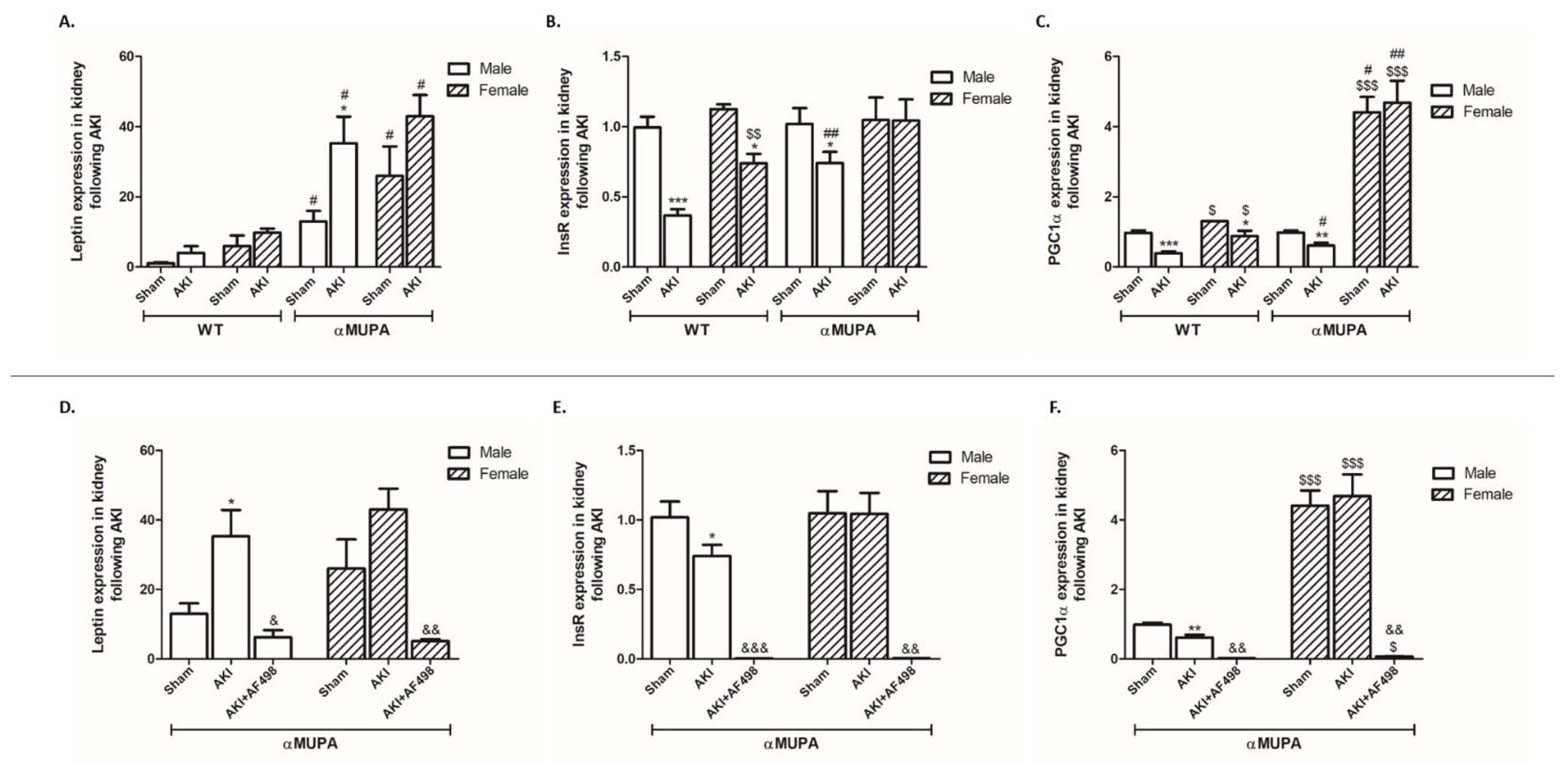 Cells 12 02497 g004 Cells 12 02497 g004