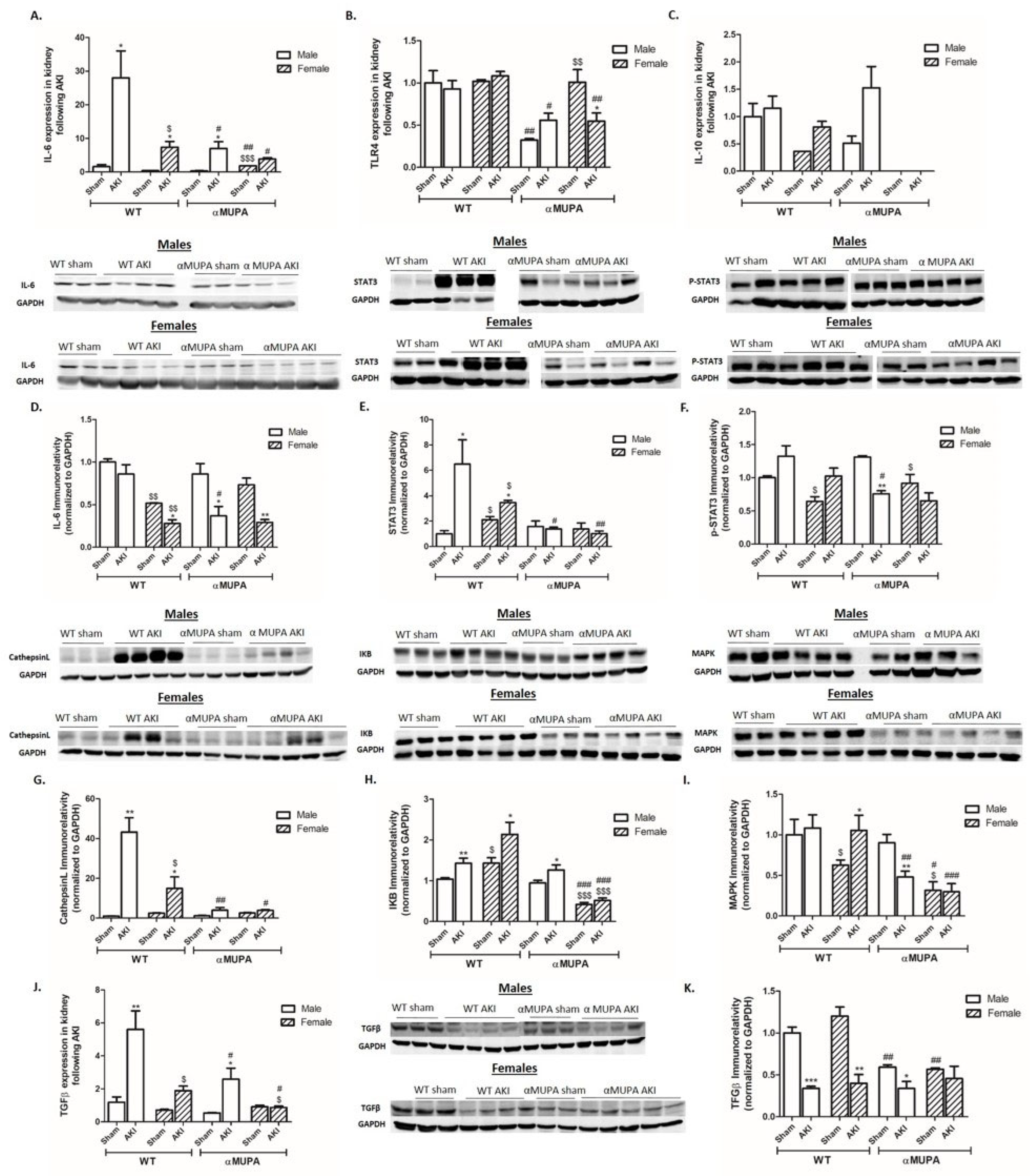 Cells 12 02497 g005a Cells 12 02497 g005a