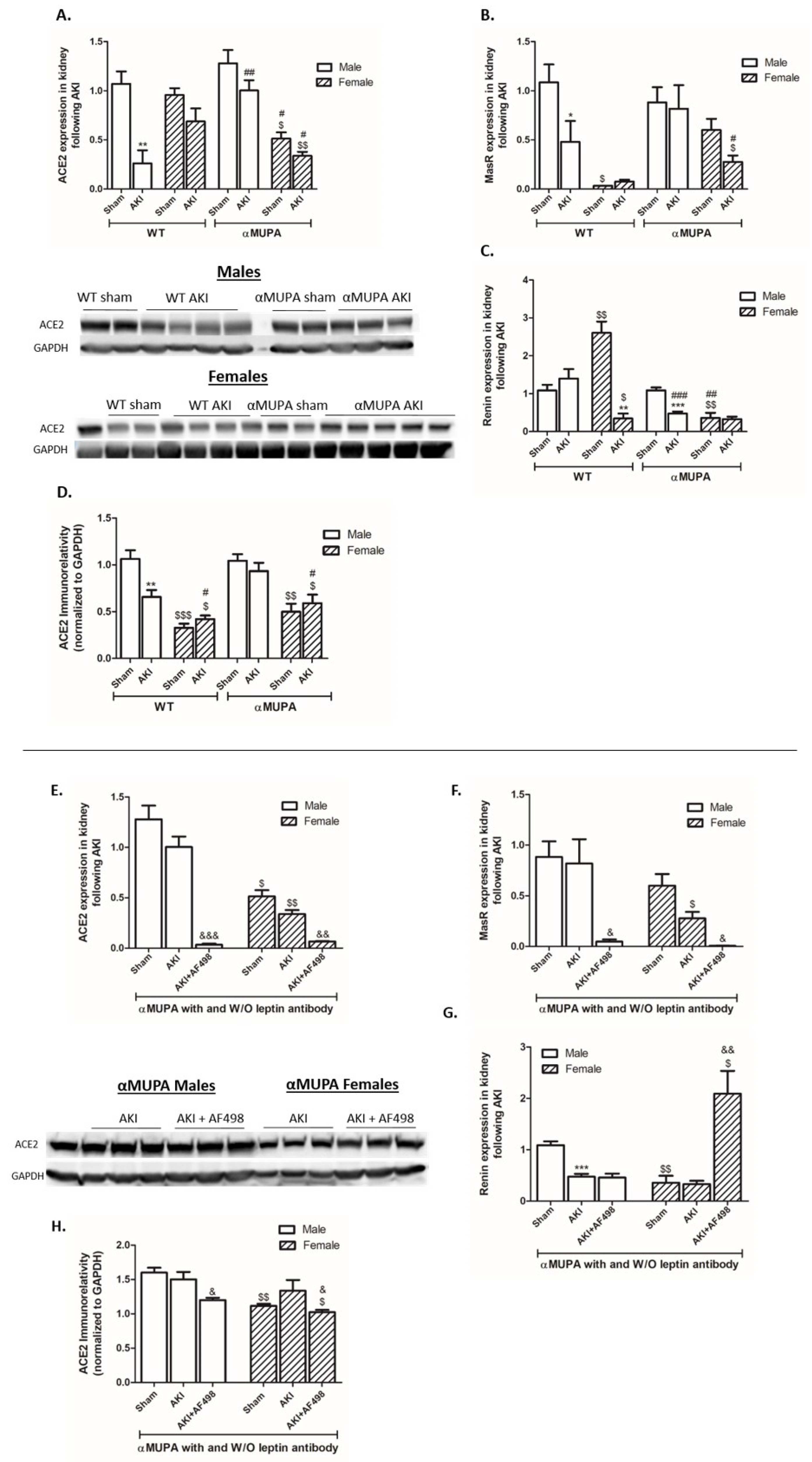 Cells 12 02497 g007 Cells 12 02497 g007