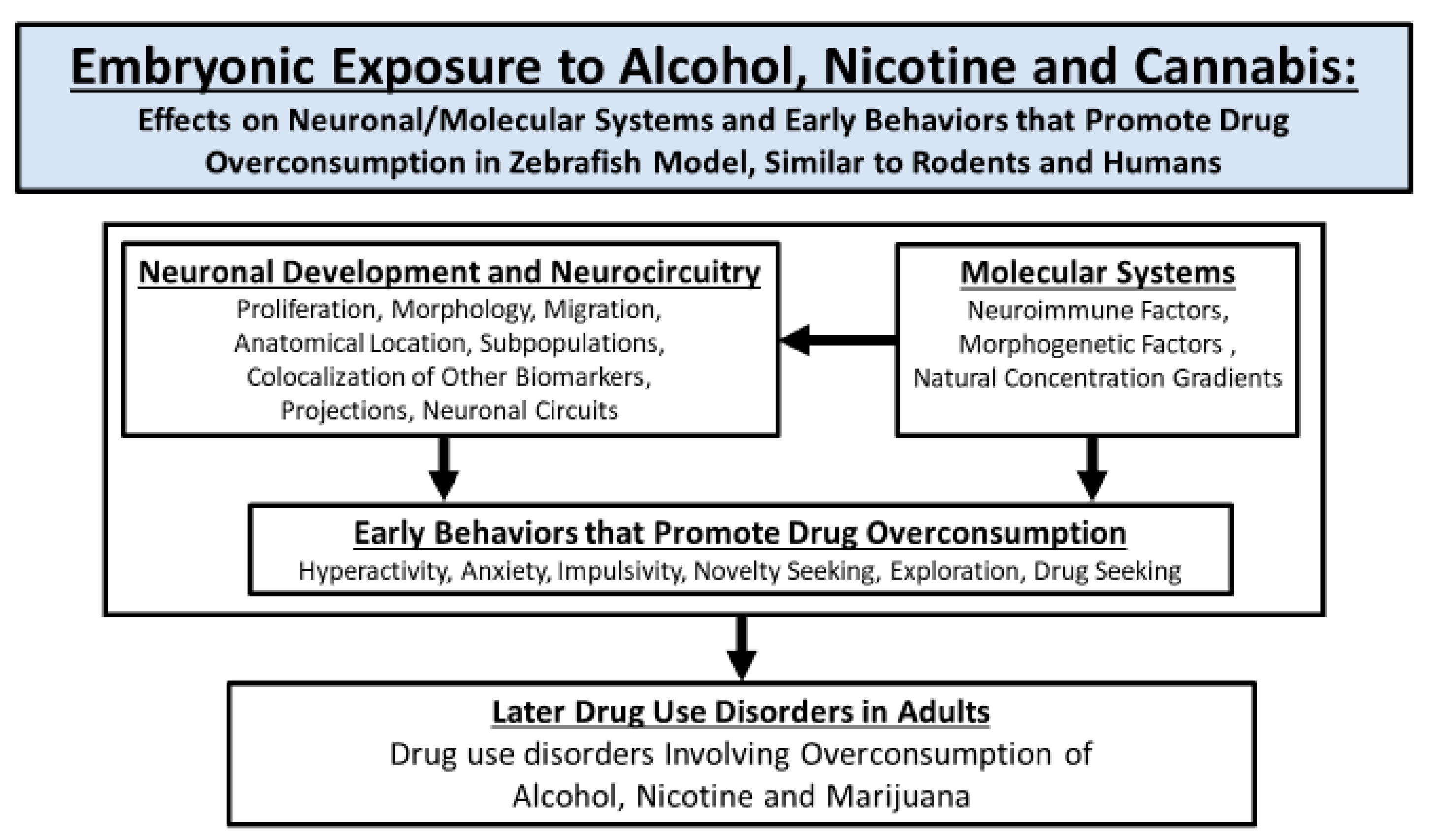 Cells 12 02505 g001 Cells 12 02505 g001