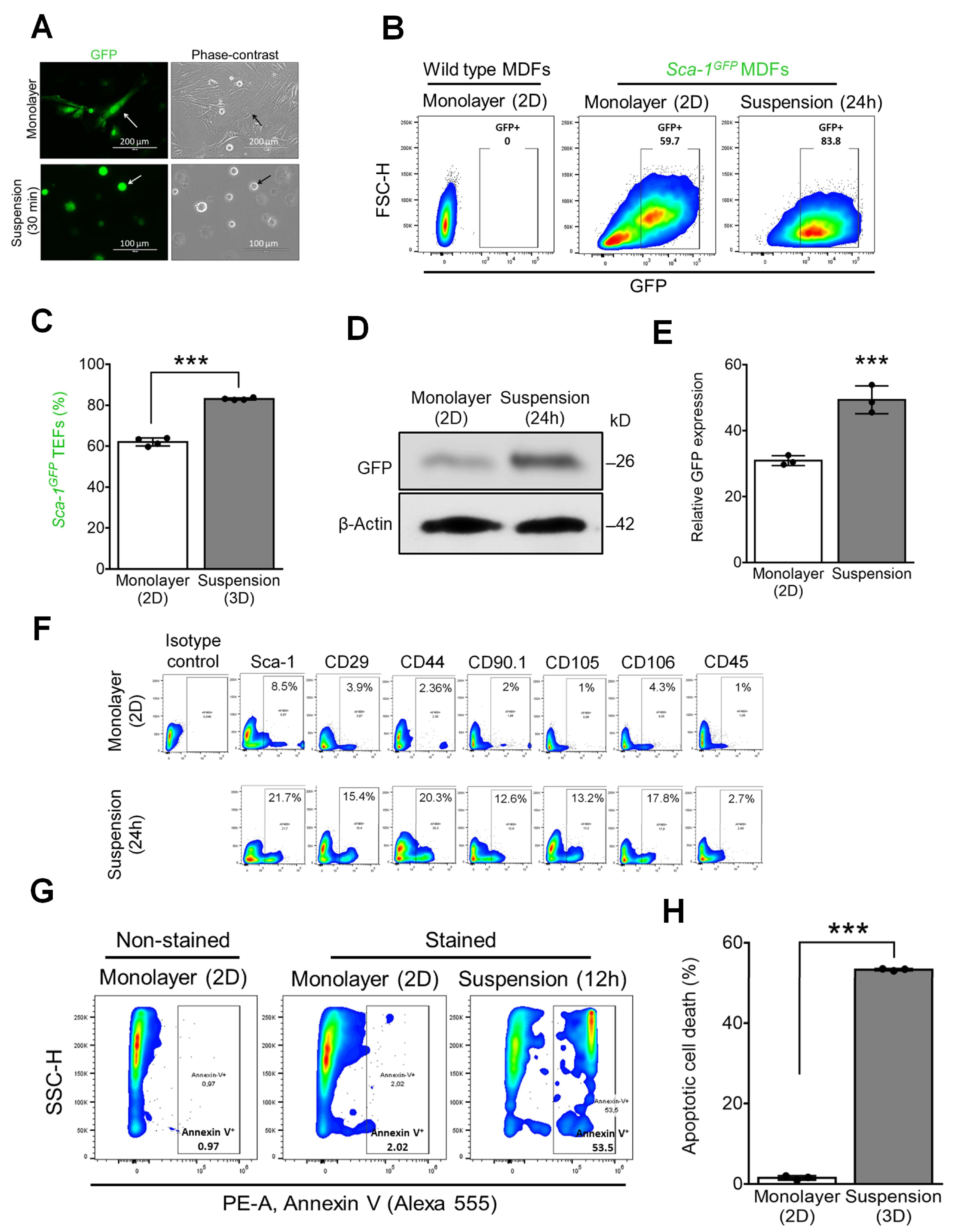Cells 12 02508 g001 Cells 12 02508 g001