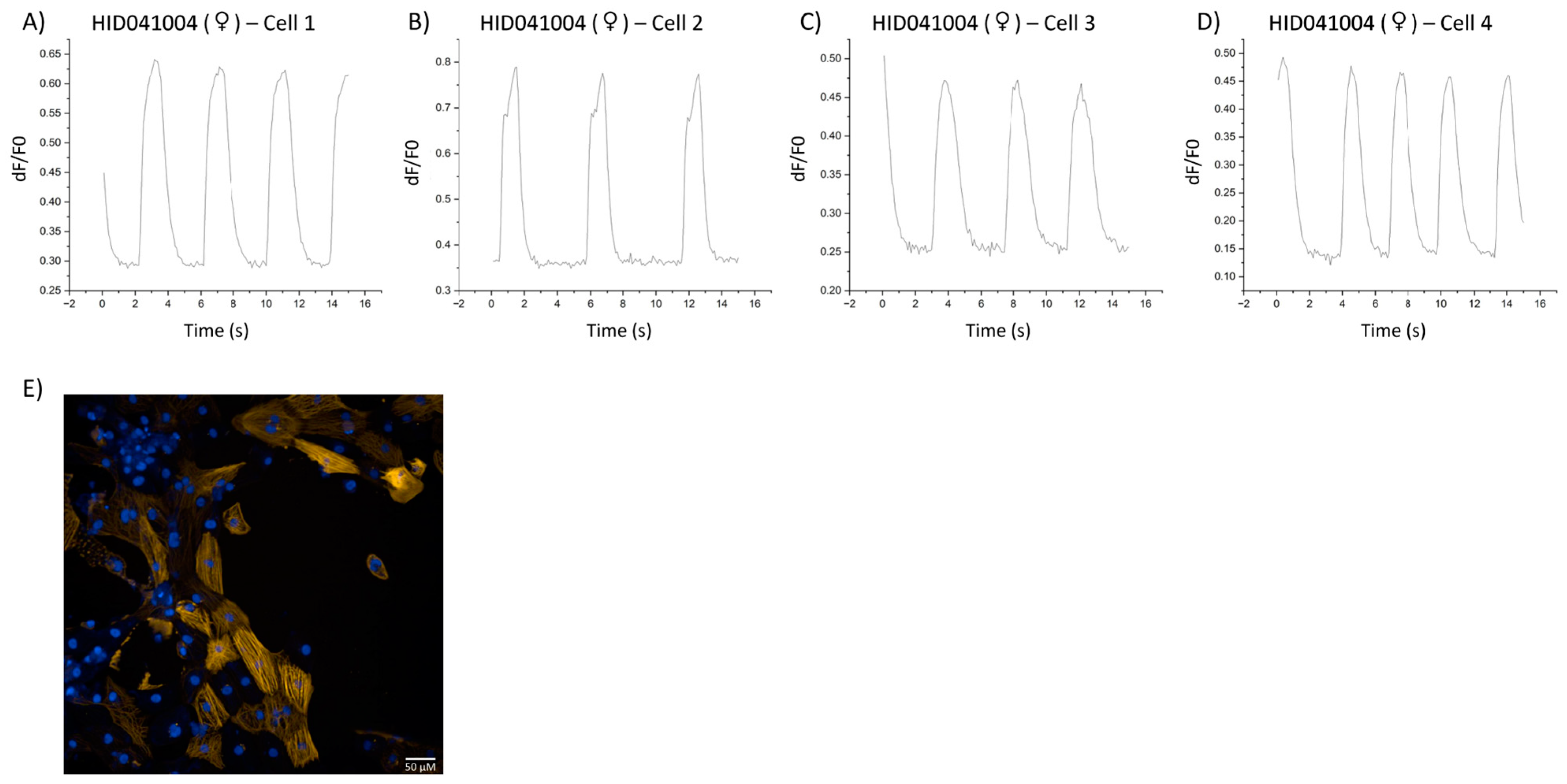 Cells 12 02526 g005 Cells 12 02526 g005