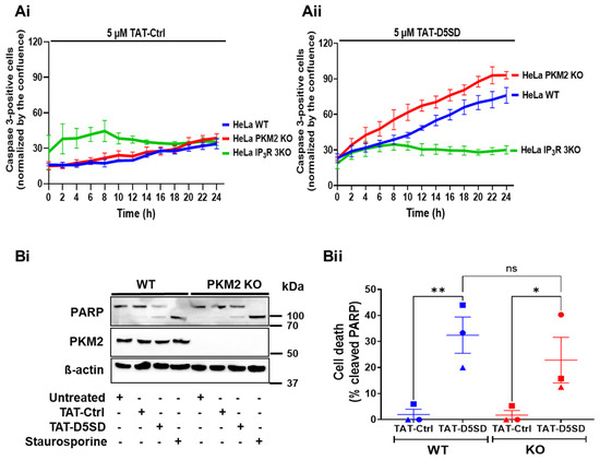 The Complex Effects of PKM2 and PKM2:IP3R Disruption on Intracellular ...