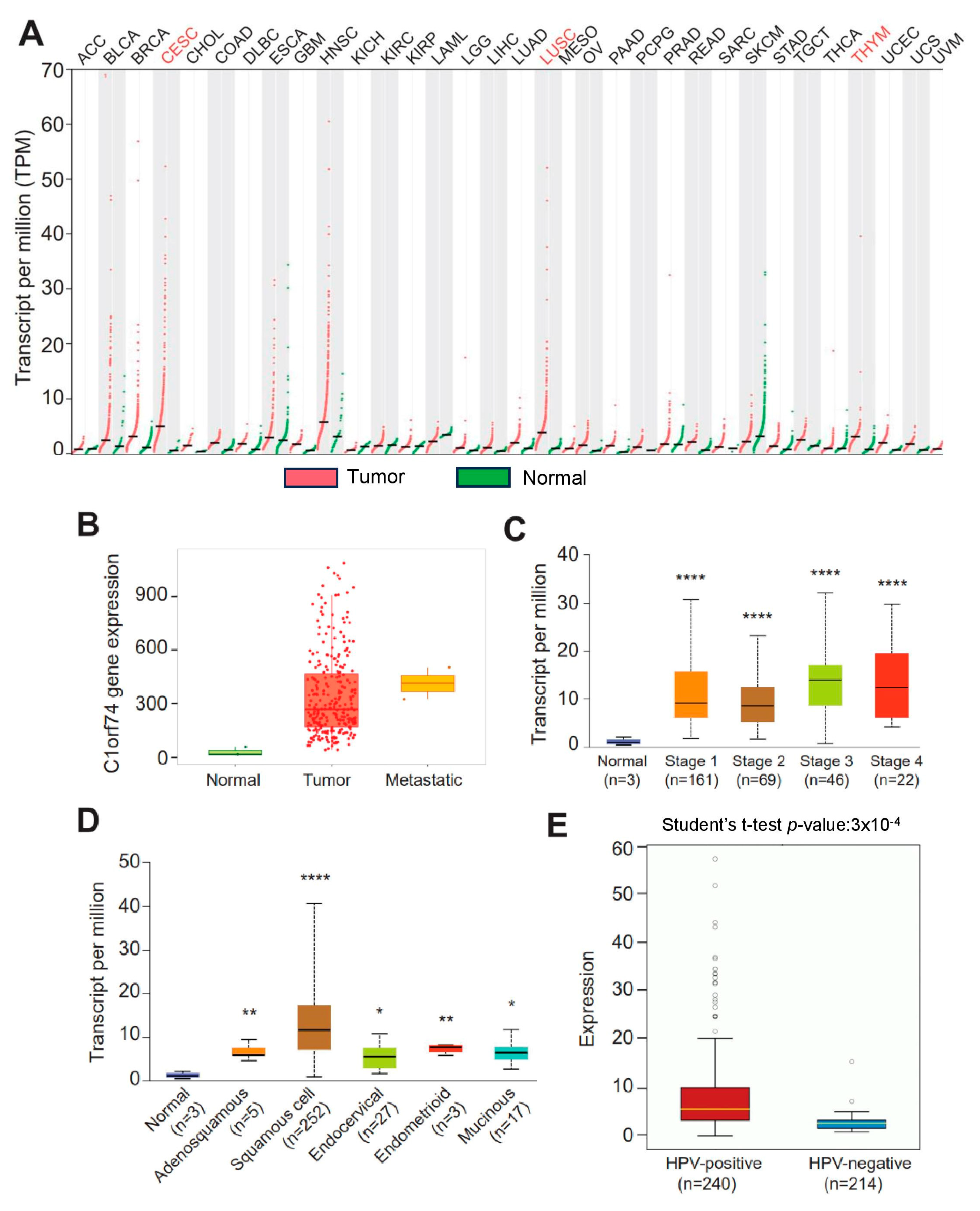 Cells 12 02530 g001 Cells 12 02530 g001