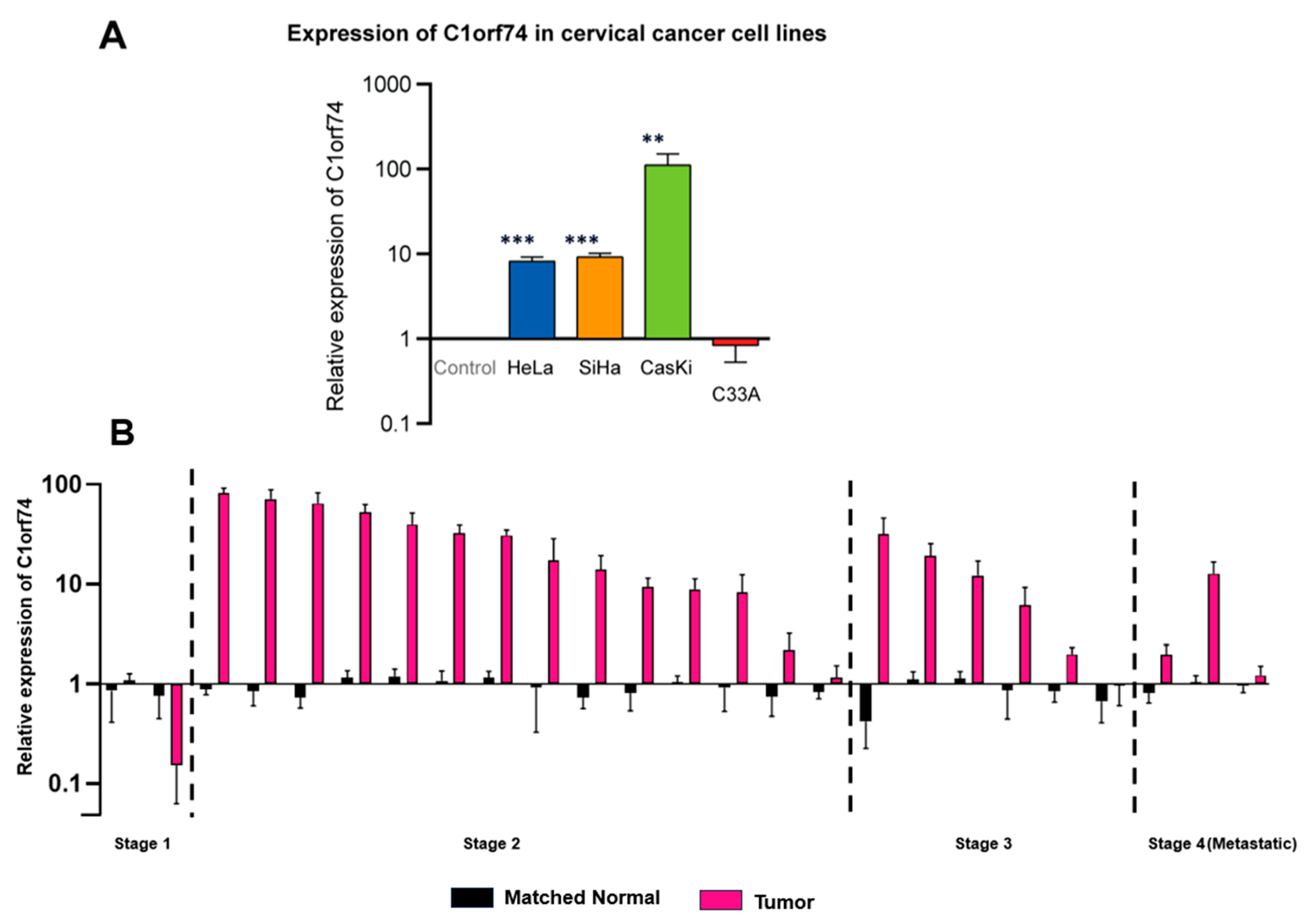 Cells 12 02530 g002 Cells 12 02530 g002