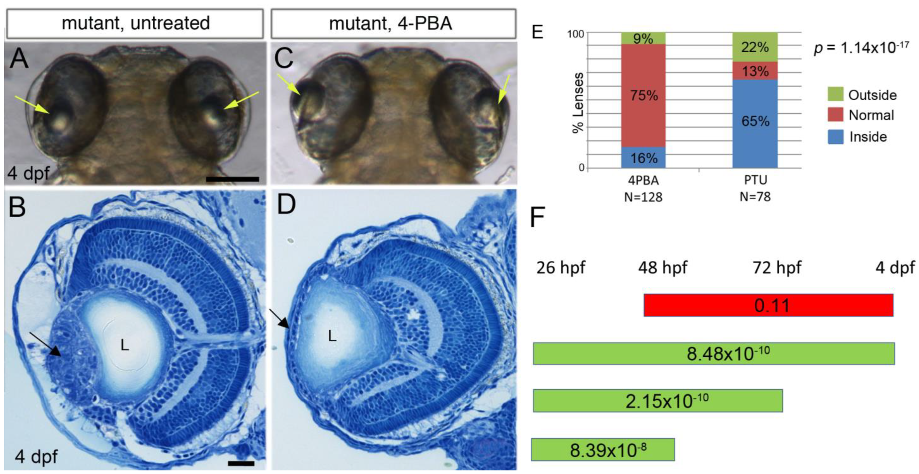 Cells 12 02540 g002 Cells 12 02540 g002
