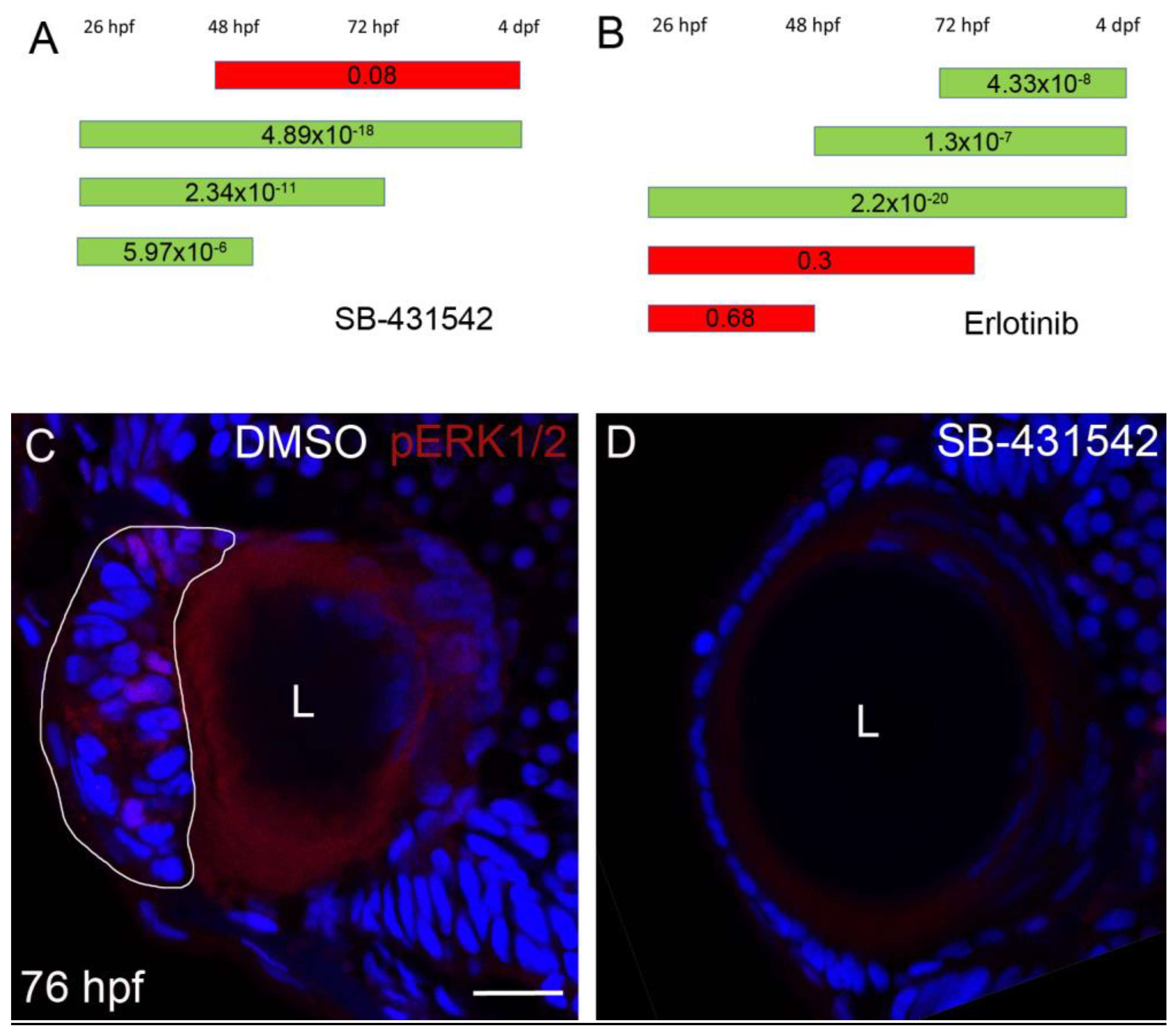 Cells 12 02540 g005 Cells 12 02540 g005