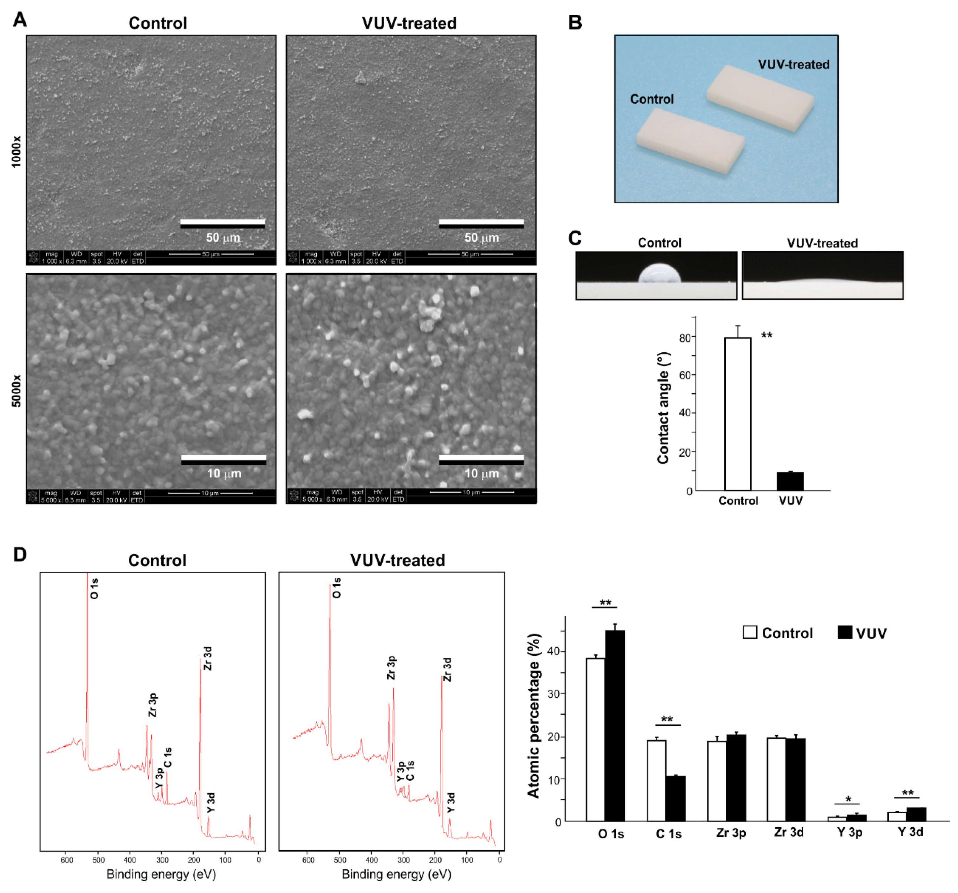Cells 12 02542 g001 Cells 12 02542 g001