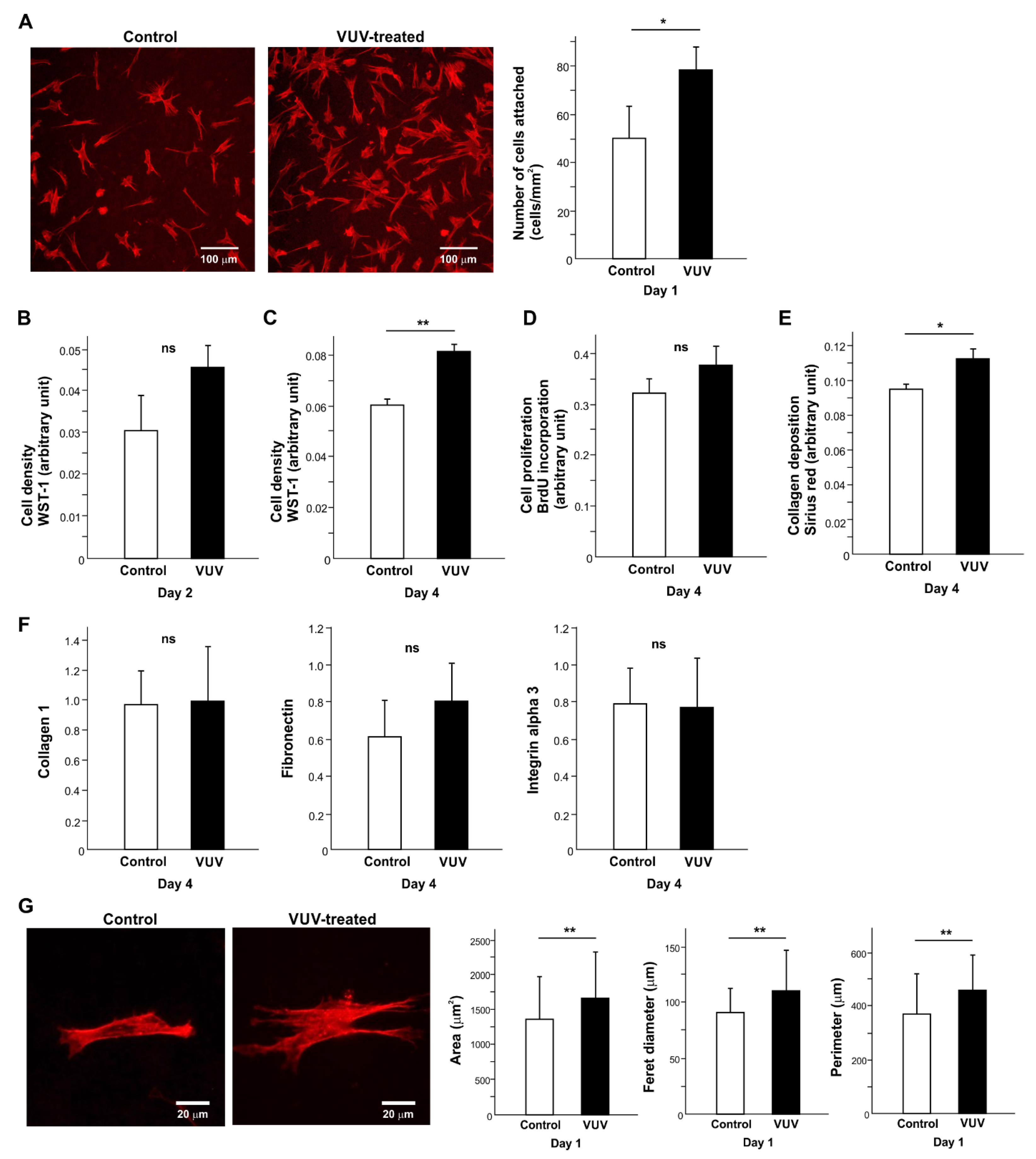 Cells 12 02542 g003 Cells 12 02542 g003