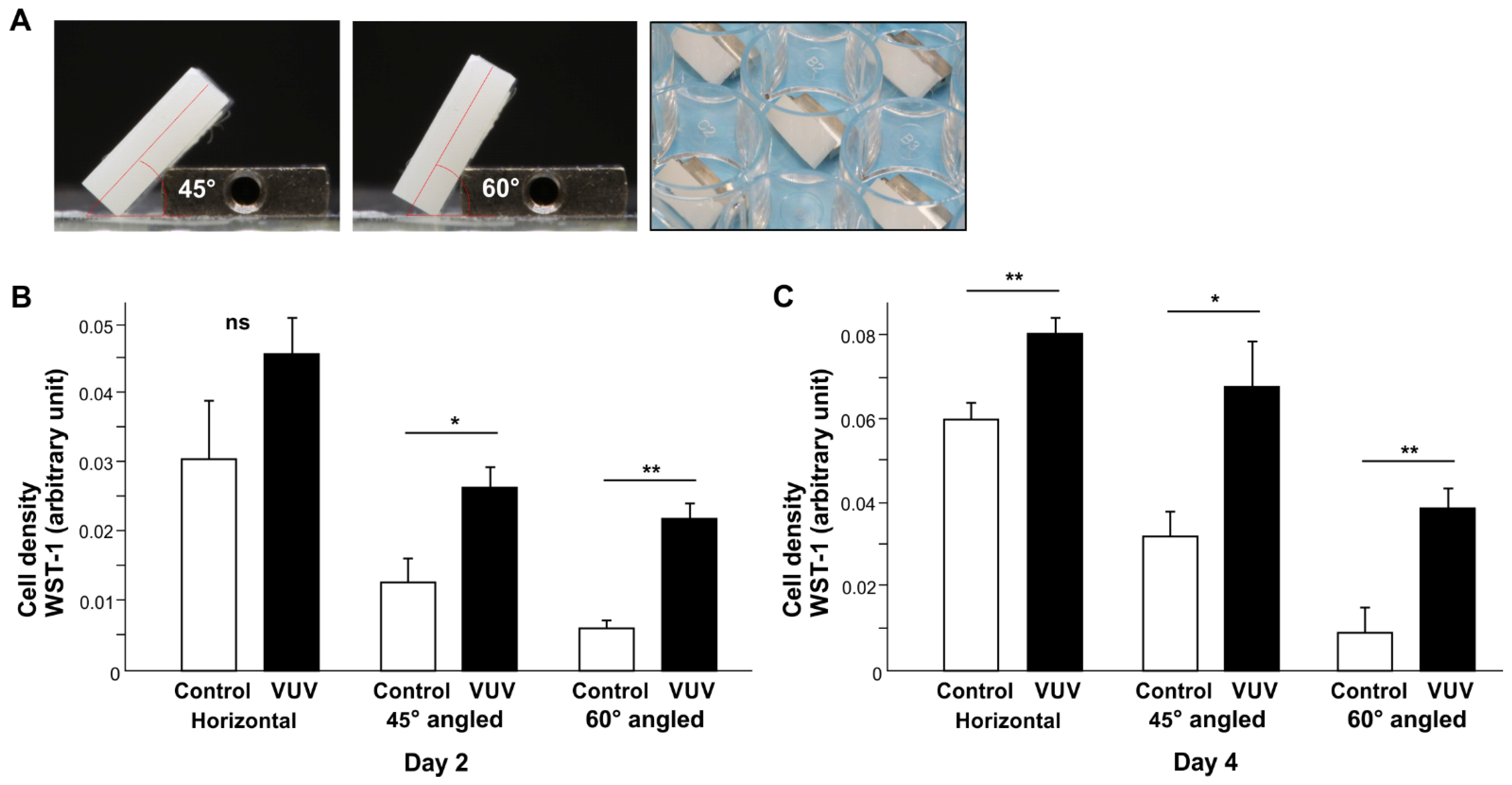 Cells 12 02542 g004 Cells 12 02542 g004