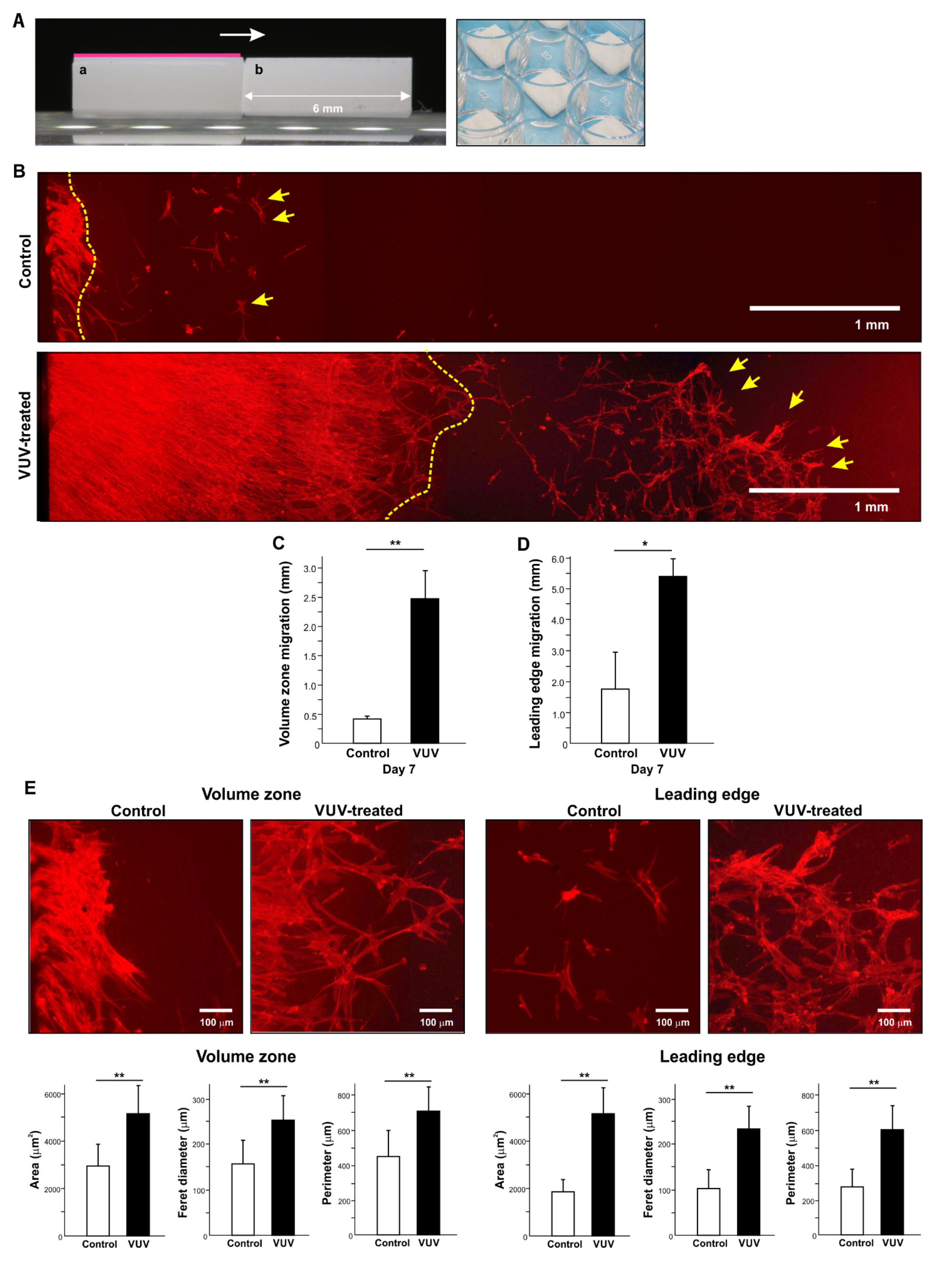 Cells 12 02542 g005 Cells 12 02542 g005