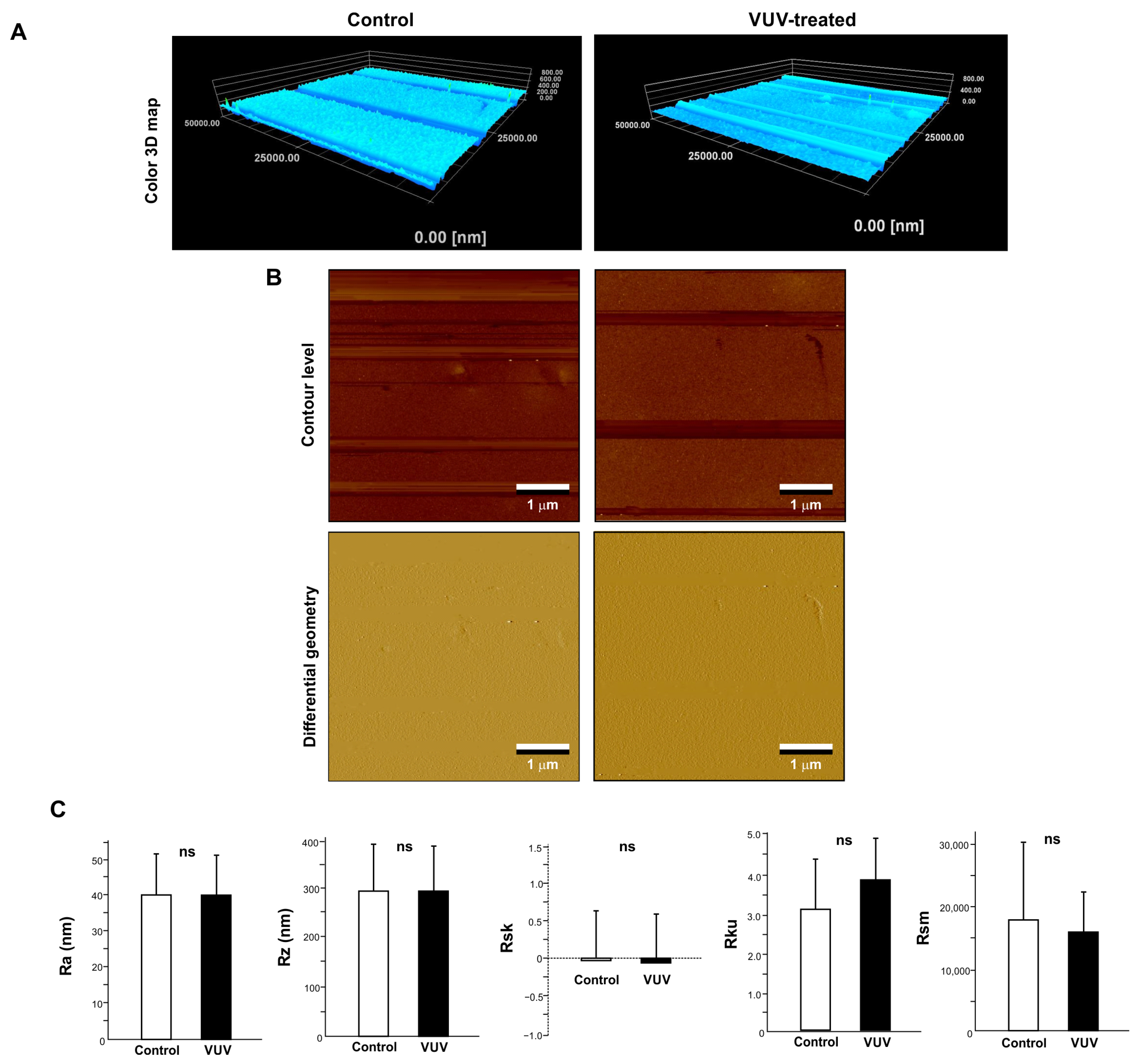Cells 12 02542 g007 Cells 12 02542 g007