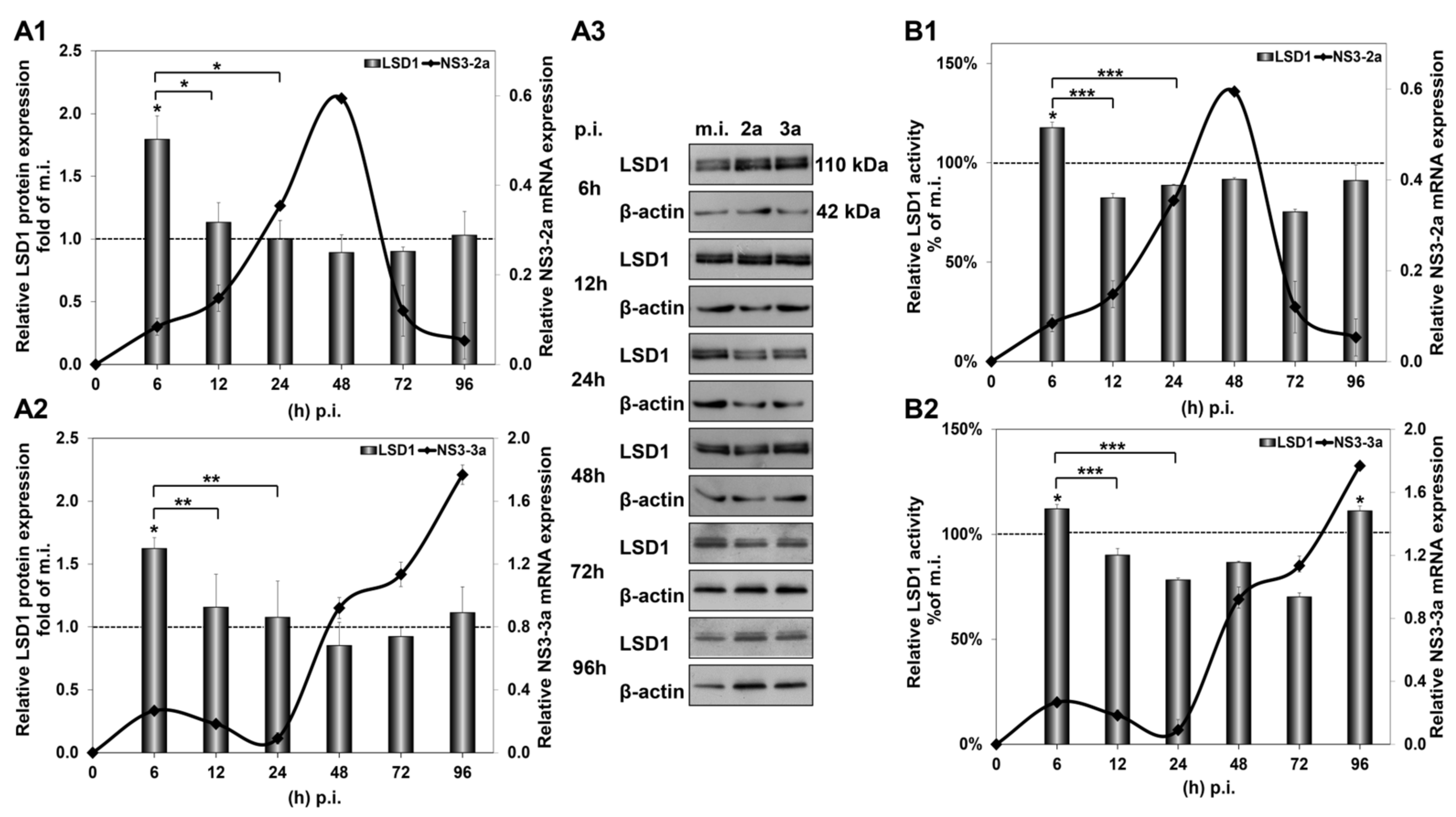 Cells 12 02568 g002 Cells 12 02568 g002