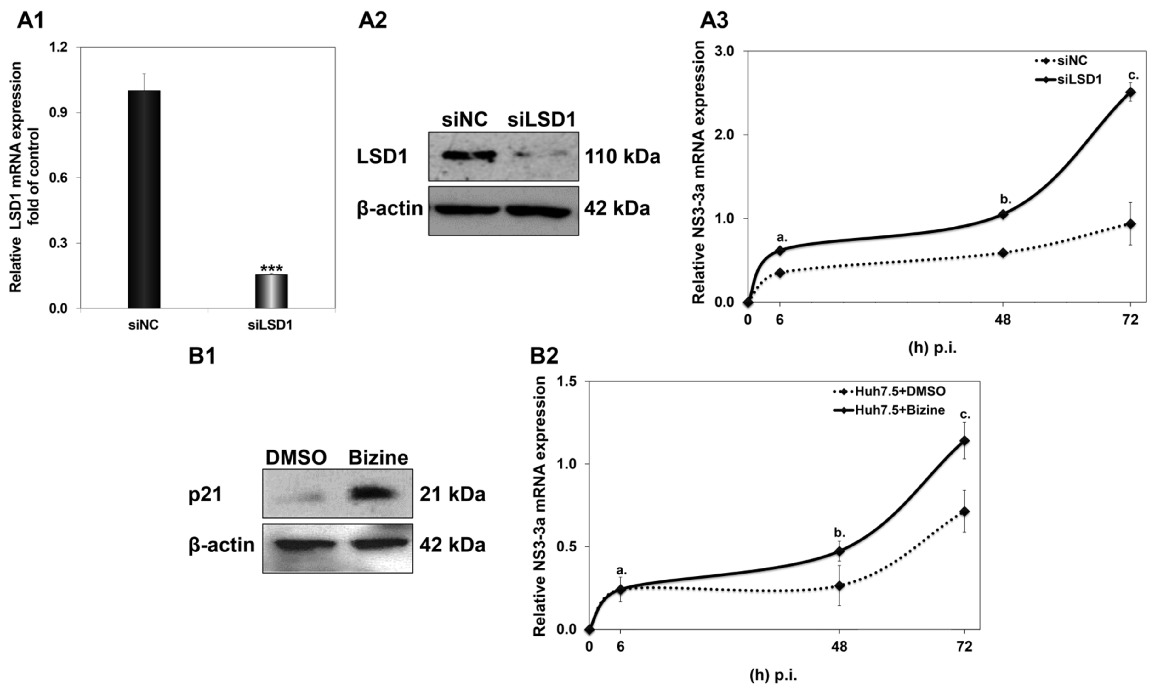 Cells 12 02568 g007 Cells 12 02568 g007